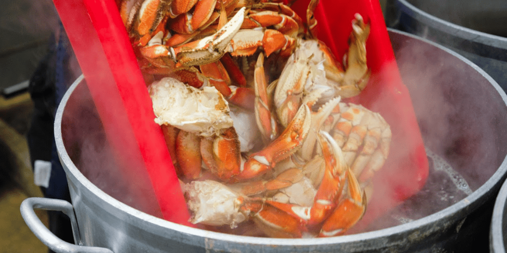 Ketchikan Wilderness Boat Cruise and Crab Feast - Image 2
