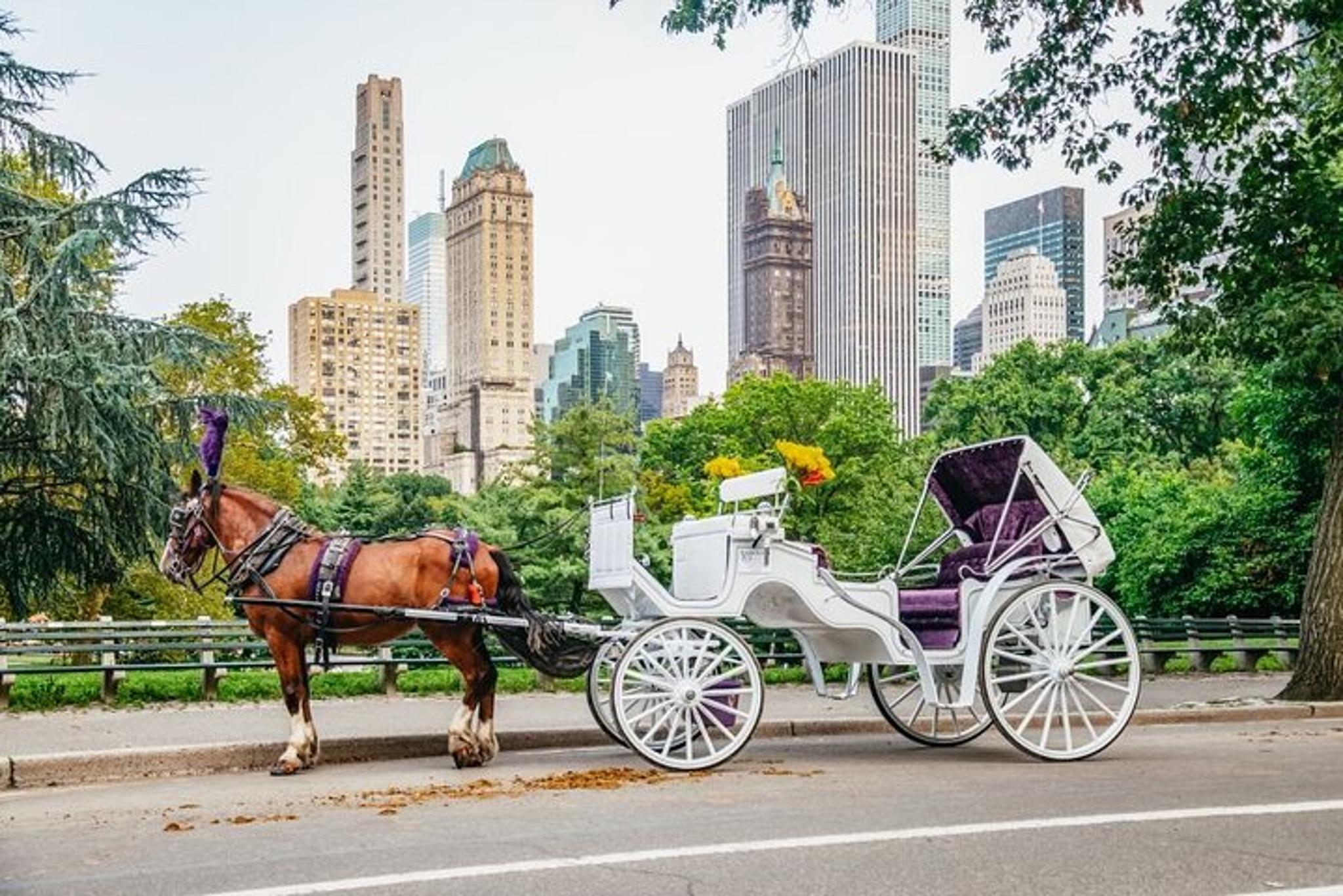 New York City Central Park Horse Carriage Ride - Image 3