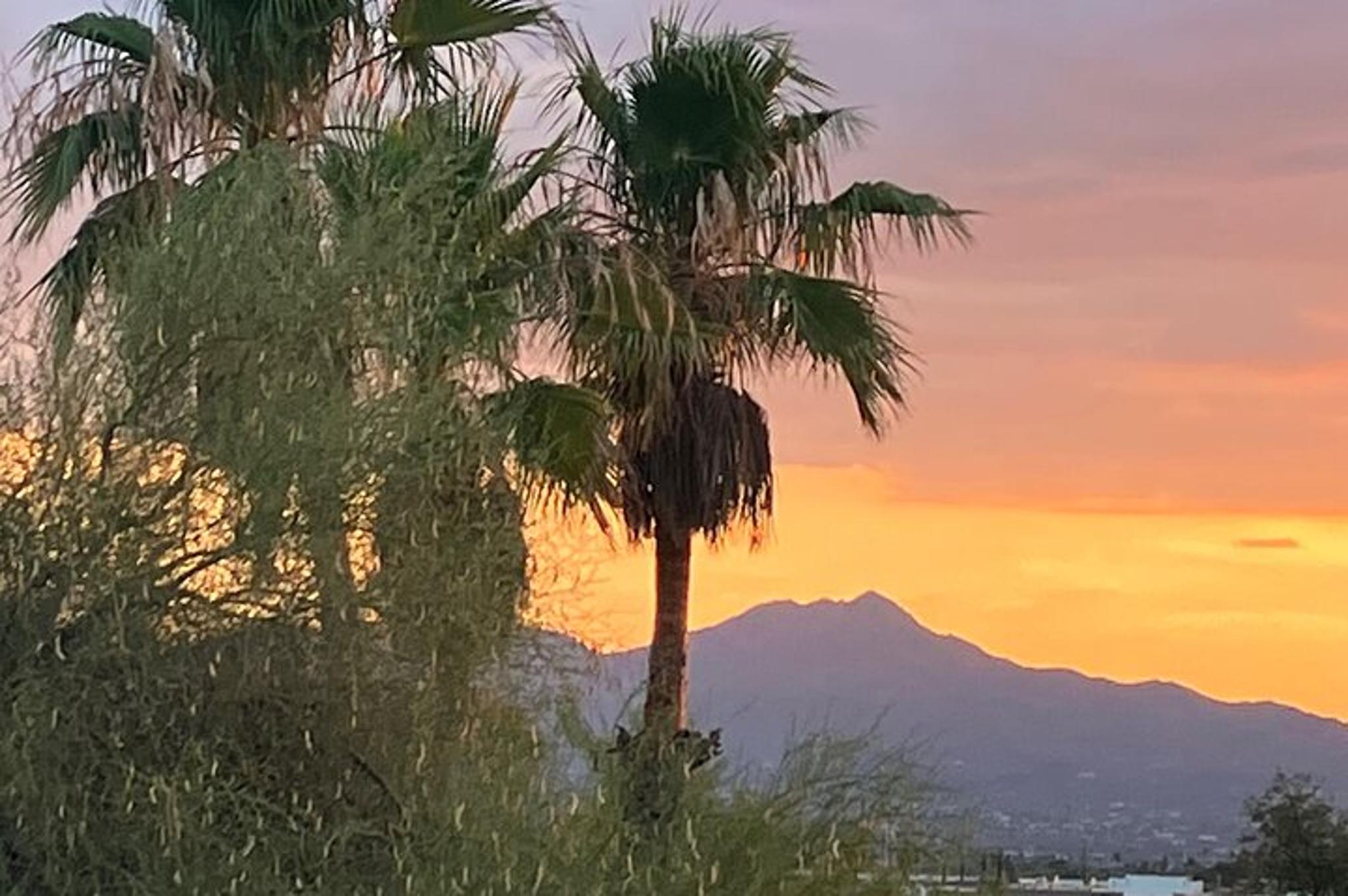 Tucson Tombstone and San Xavier Tour - Image 6