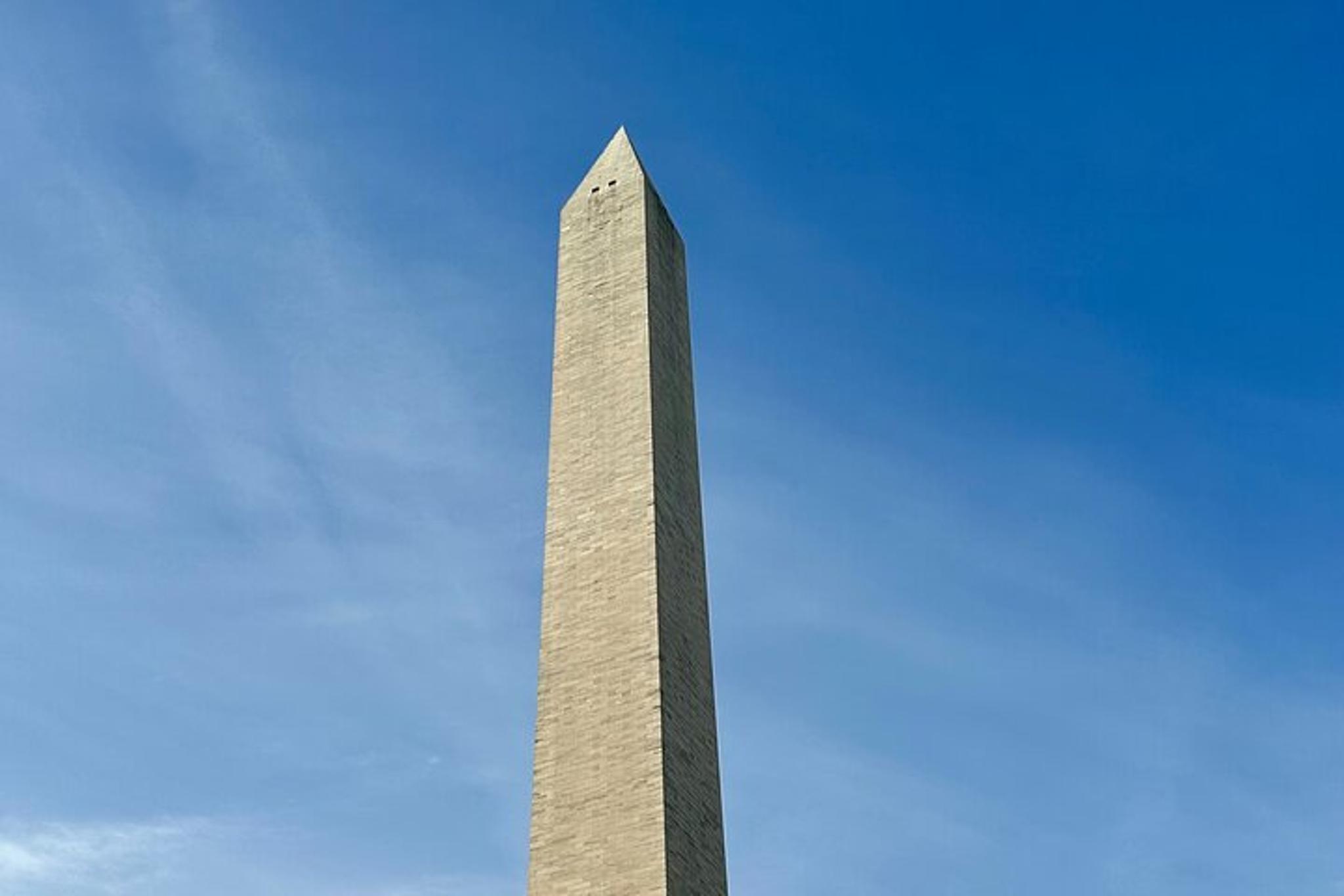 Washington DC National Mall Walking Tour - Image 3