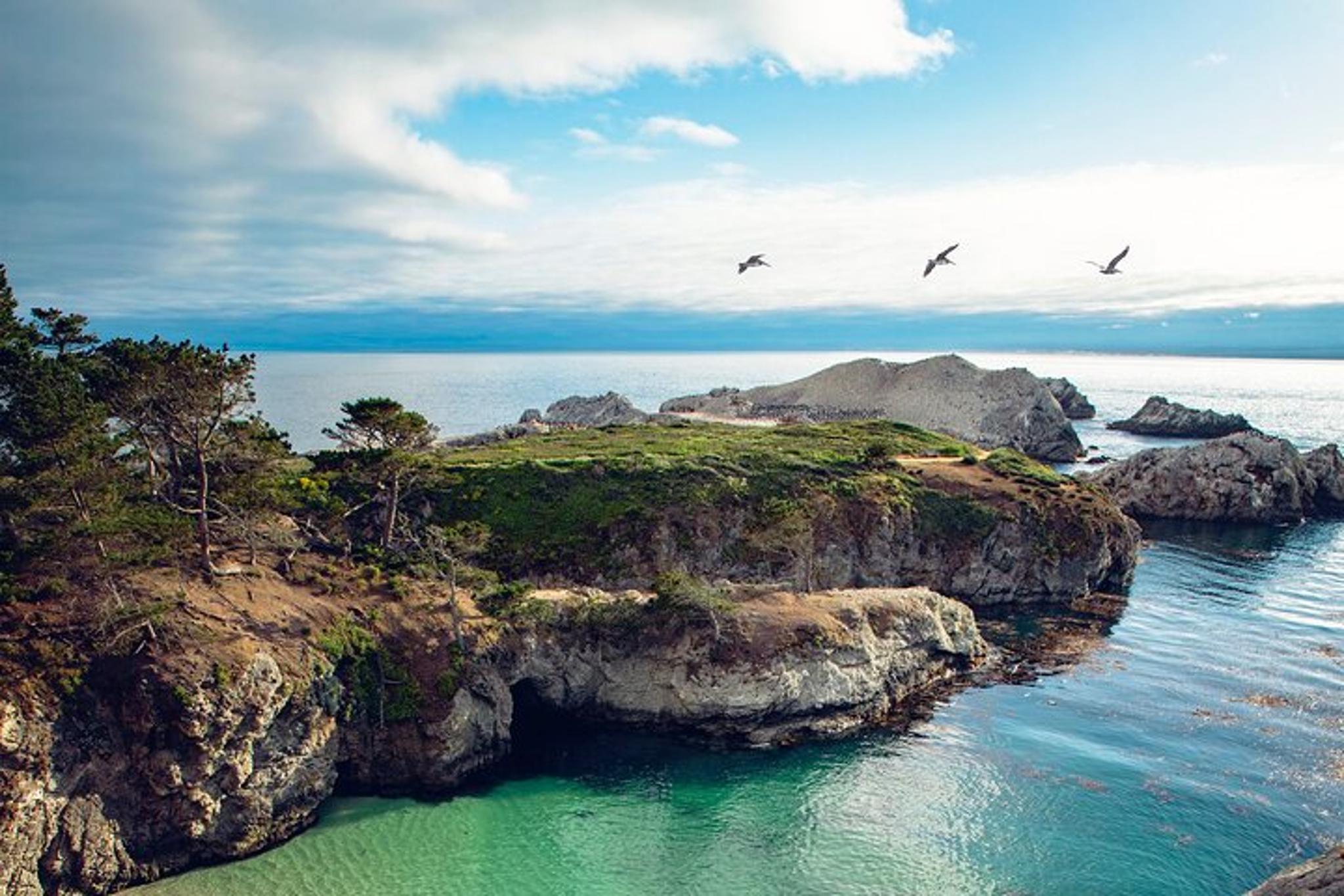 Point Lobos Self-Guided App Tour - Image 3