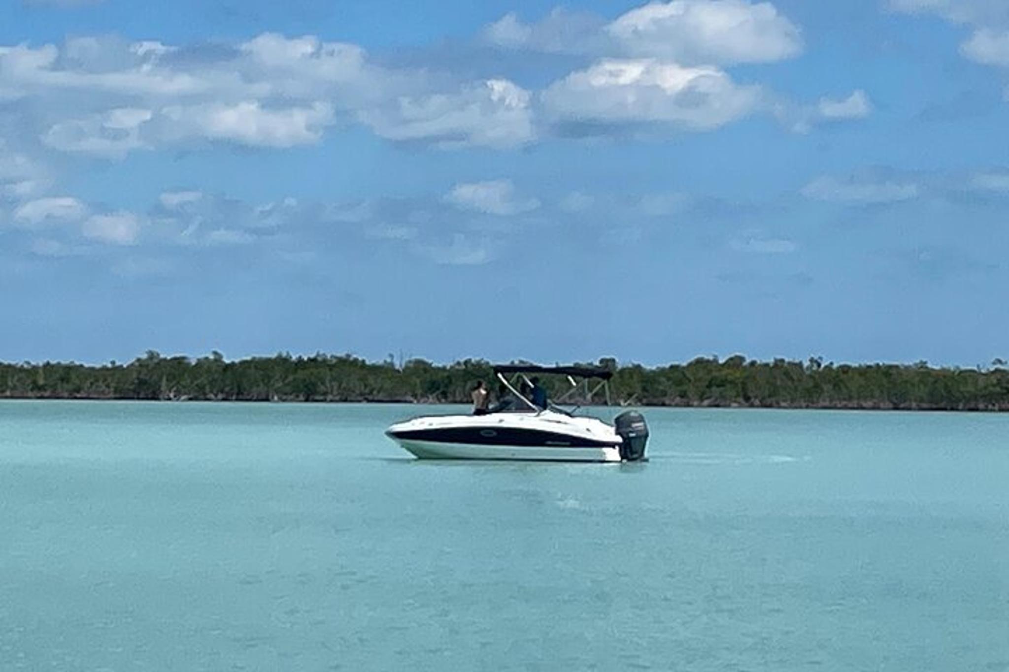 Key Largo Dolphin Tour - Image 2