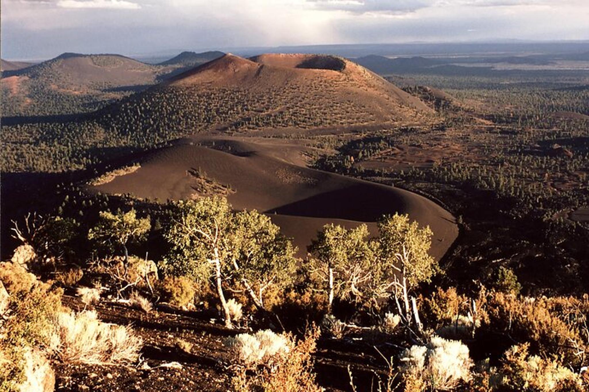 Phoenix Custom Flagstaff Day Tour - Image 4