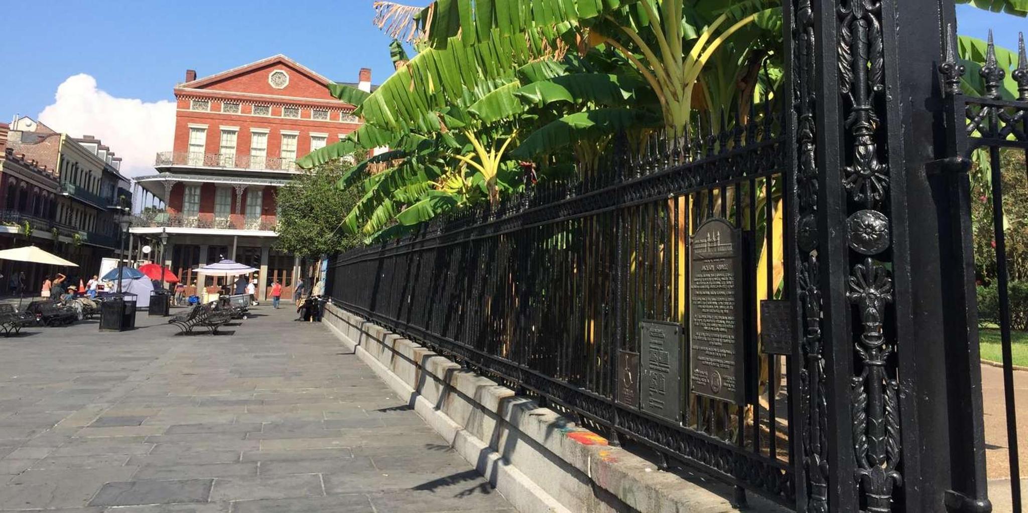 New Orleans French Quarter Walking Tour 45 min - Image 4