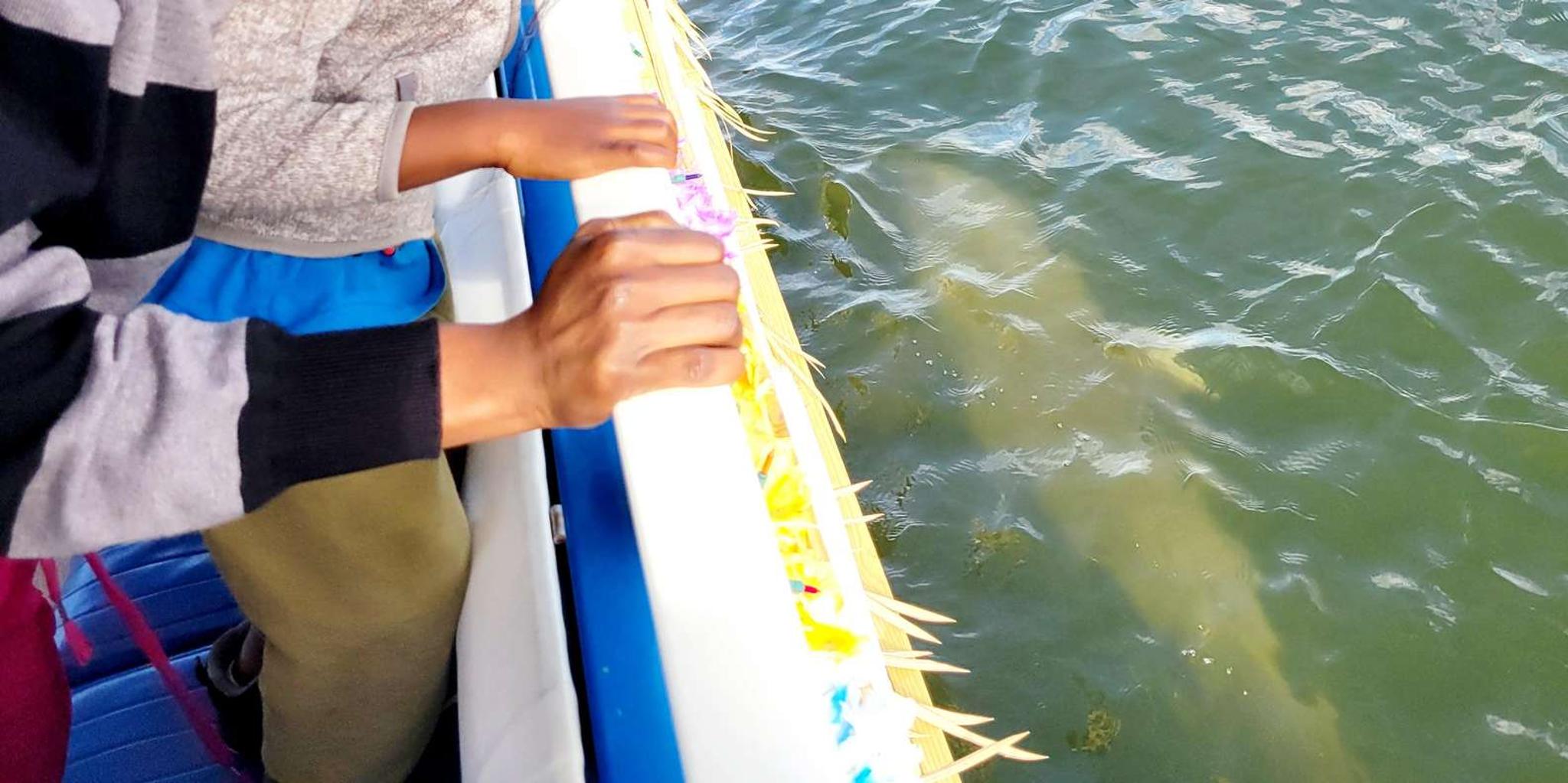 Cocoa Beach Dolphin Sightseeing Tour 2 hr - Image 3