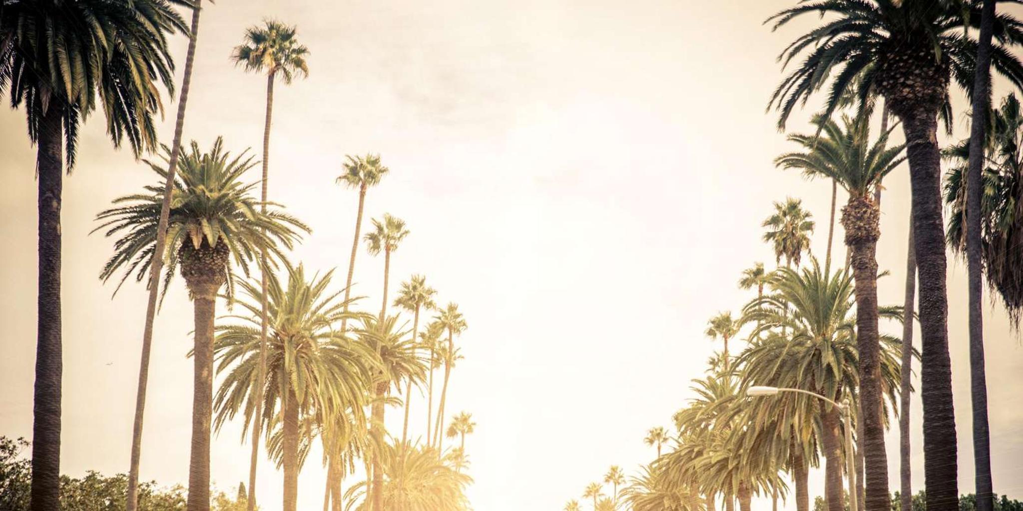 Los Angeles Private SUV Tour - Image 4