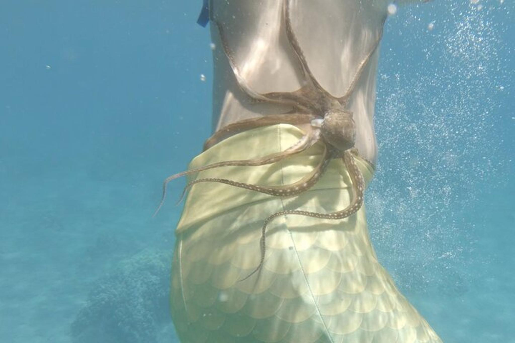 Lahaina Sea Scooter Snorkeling Tour - Image 3