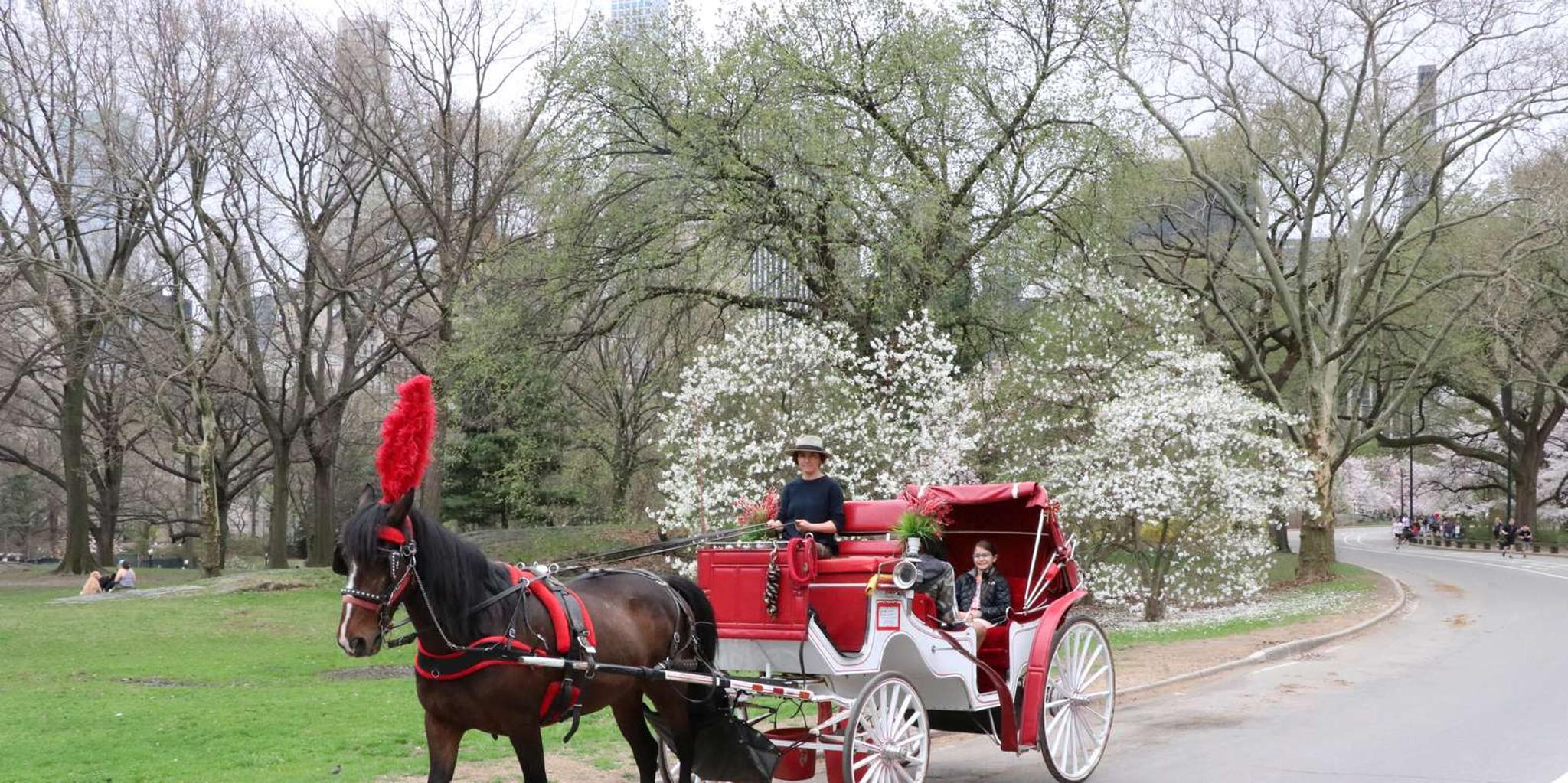 New York City Central Park Horse Carriage Ride - Image 6