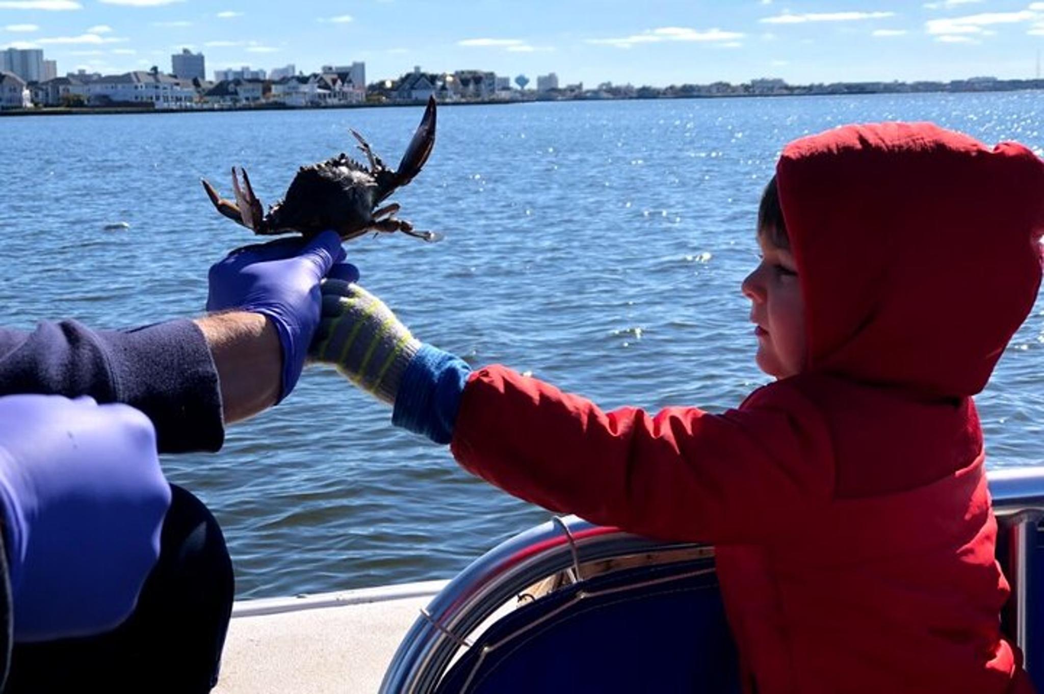 Ocean City Crabbing Experience 2.5 hr - Image 2