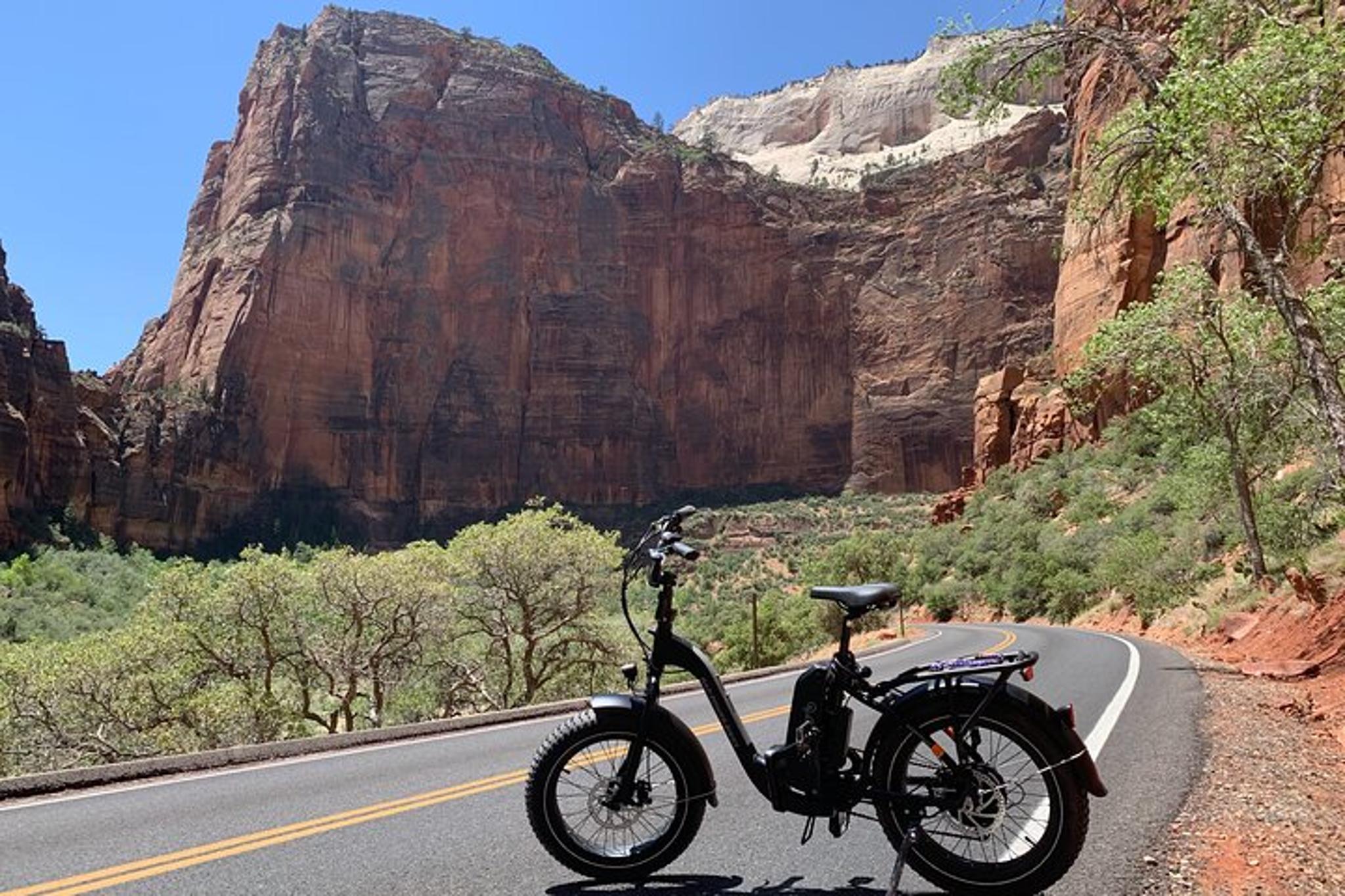 Zion E-Bike Rental