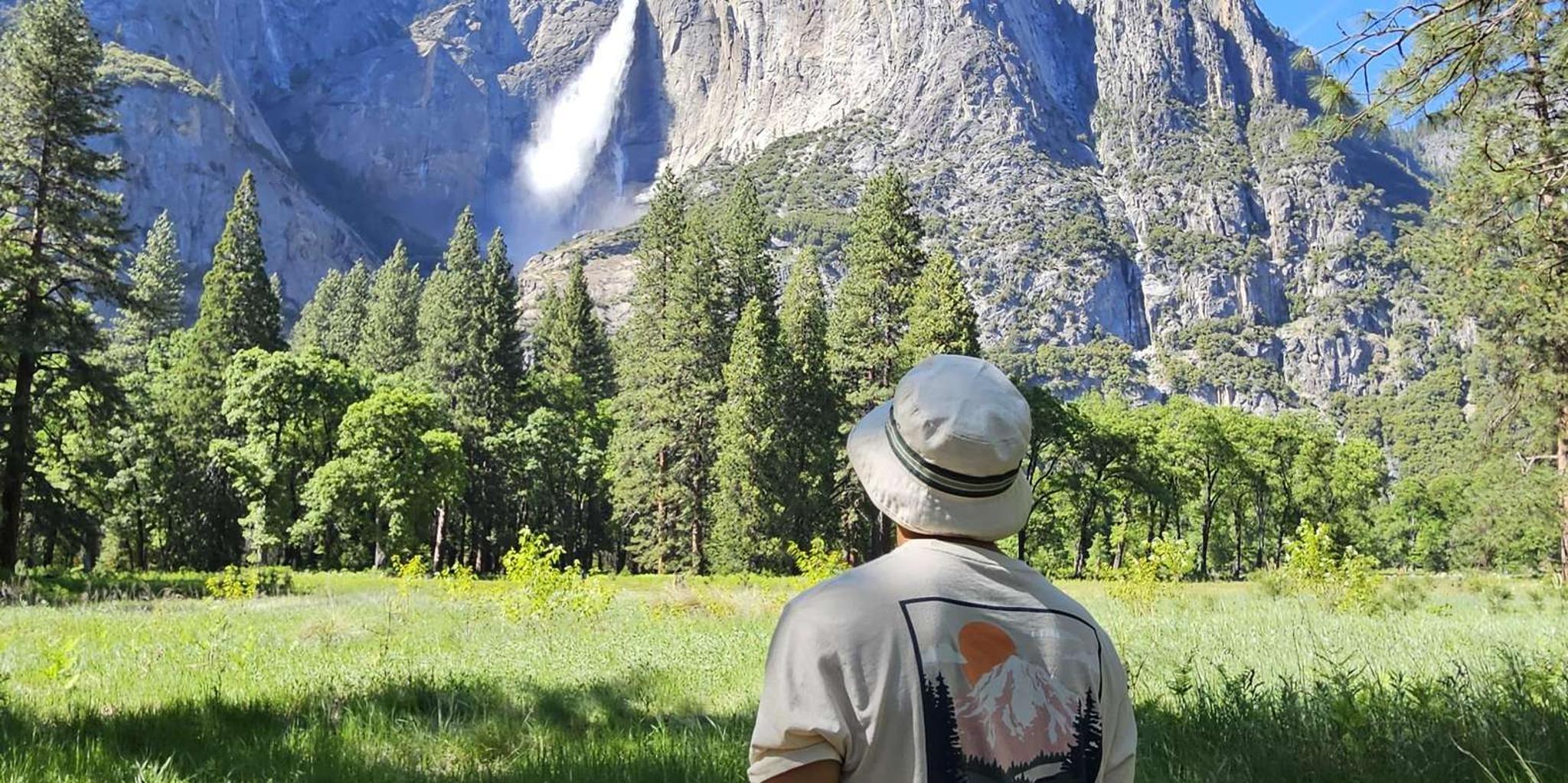 San Francisco Yosemite National Park Day Trip - Image 2