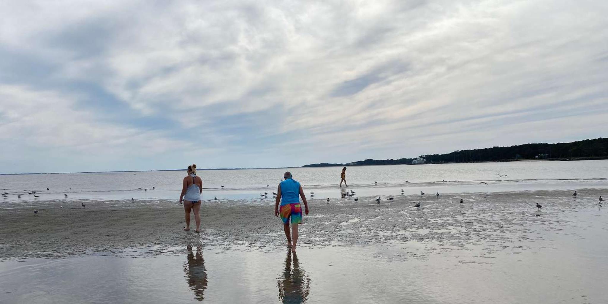 Hilton Head Island Dolphin and Disappearing Island Tour - Image 6