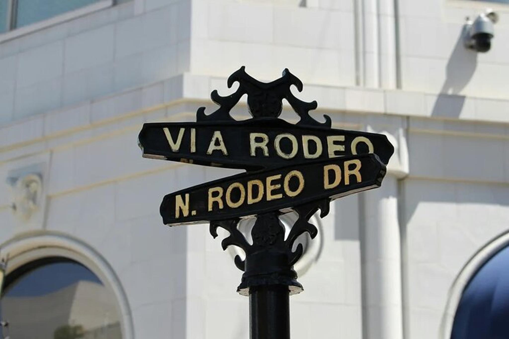 Los Angeles Chauffeured City Tour - Image 3