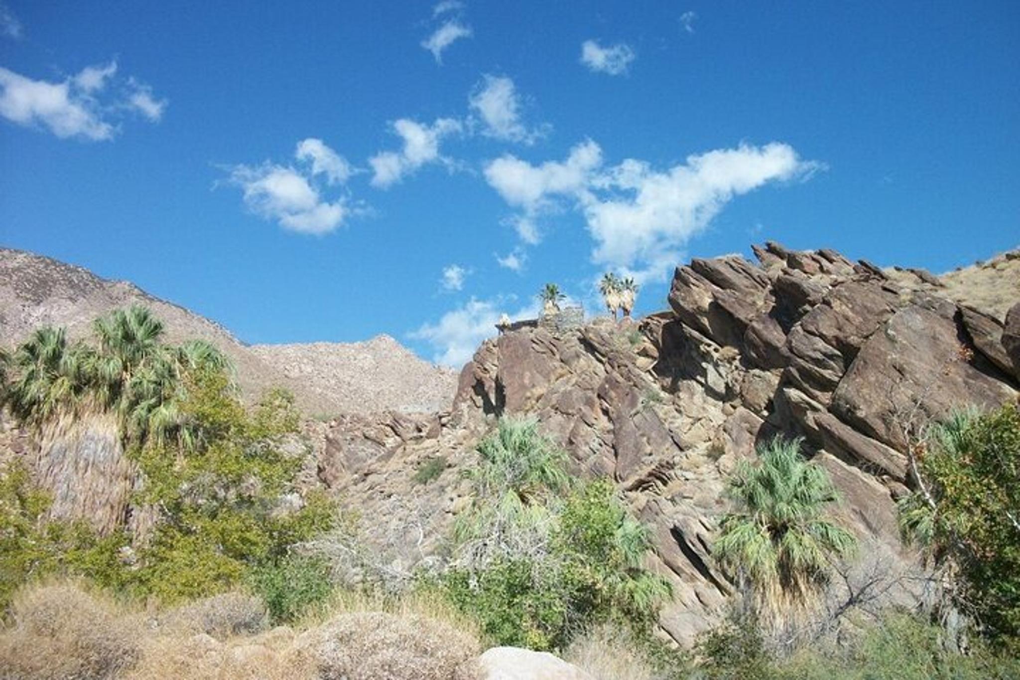 Palm Springs Indian Canyons Jeep Hiking Tour - Image 2