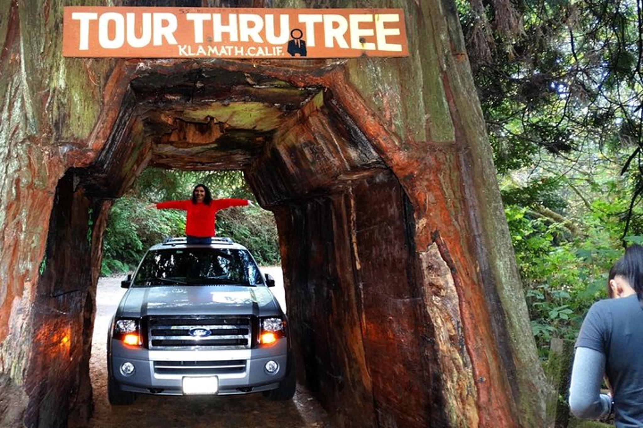 Redwood National Park Private Tour 3-Day Package - Image 2