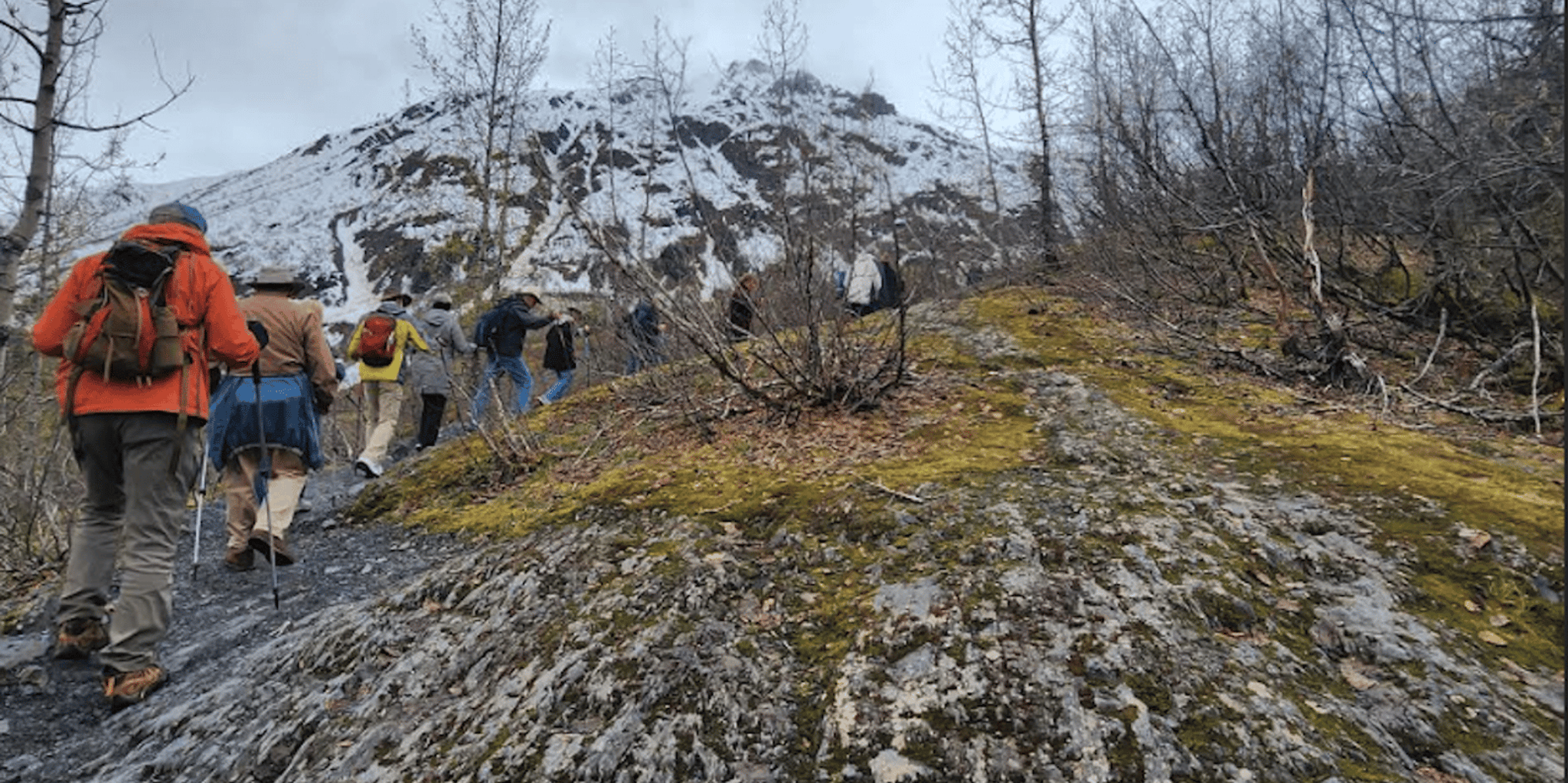 Seward Guided Hike to Marmot Meadows with Lunch - Image 4