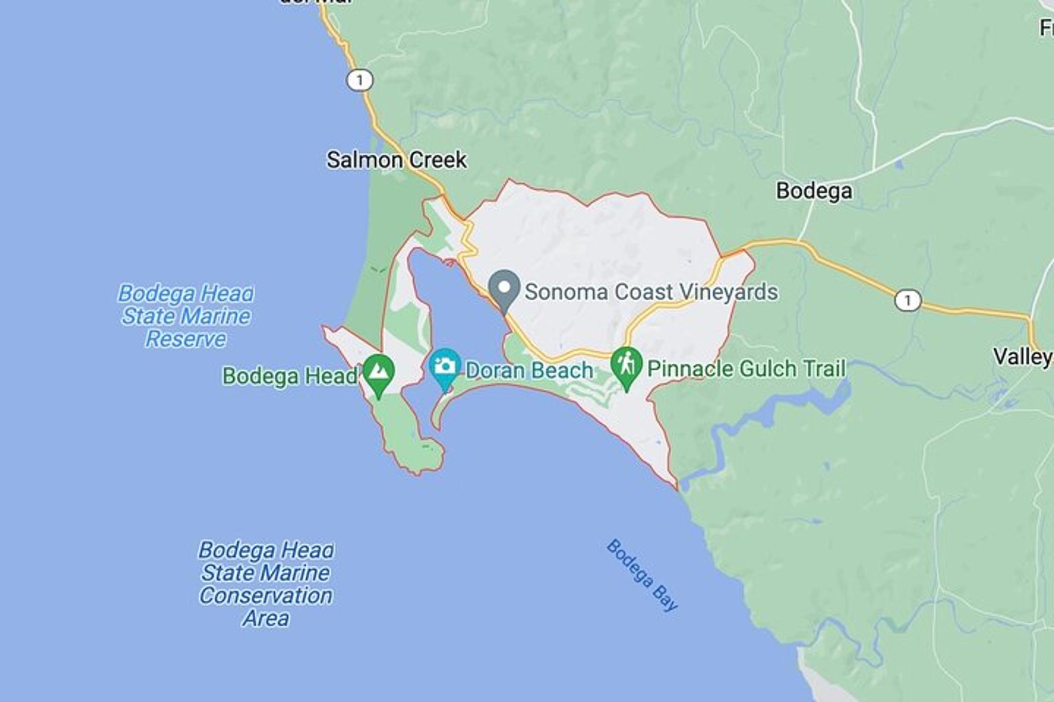 Bodega Bay Sunset Tour - Image 5