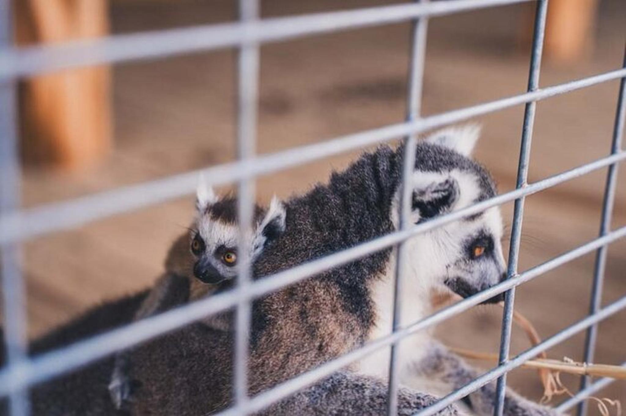 Fredericksburg Wine and Culinary Tour - Image 5