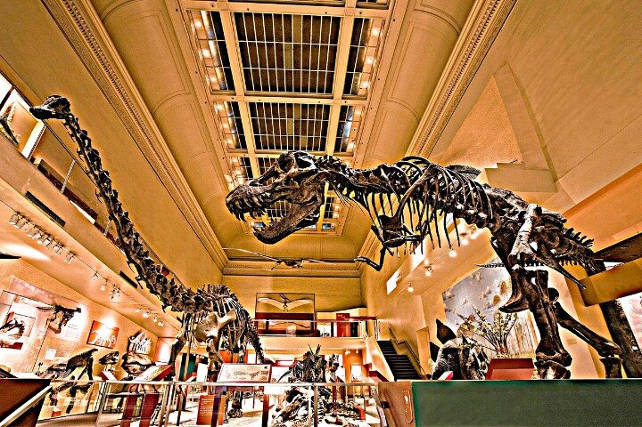 Washington D.C. American and Natural History Tour - Image 4