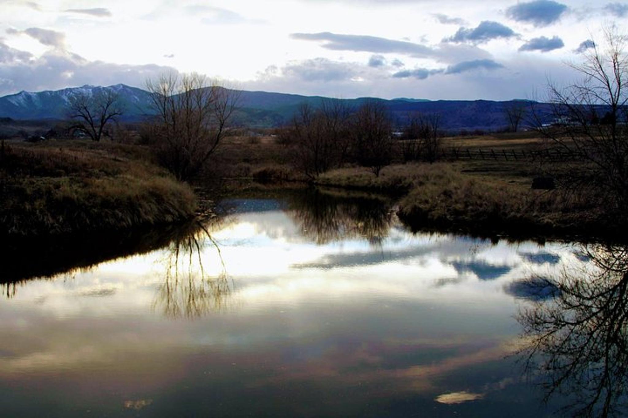 Boulder Leadership & Mindfulness Retreat with Horses - Image 6