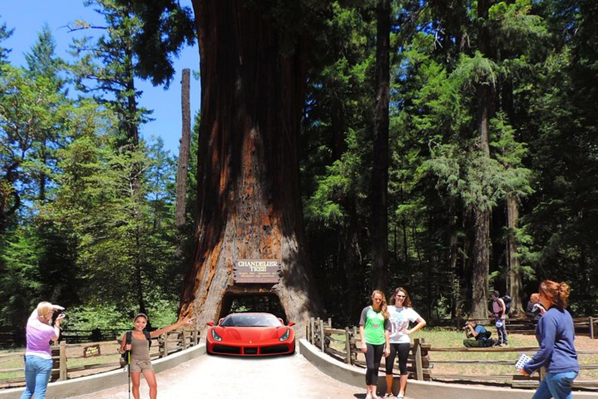 San Francisco Redwood National Park Private Tour 2-Day - Image 6