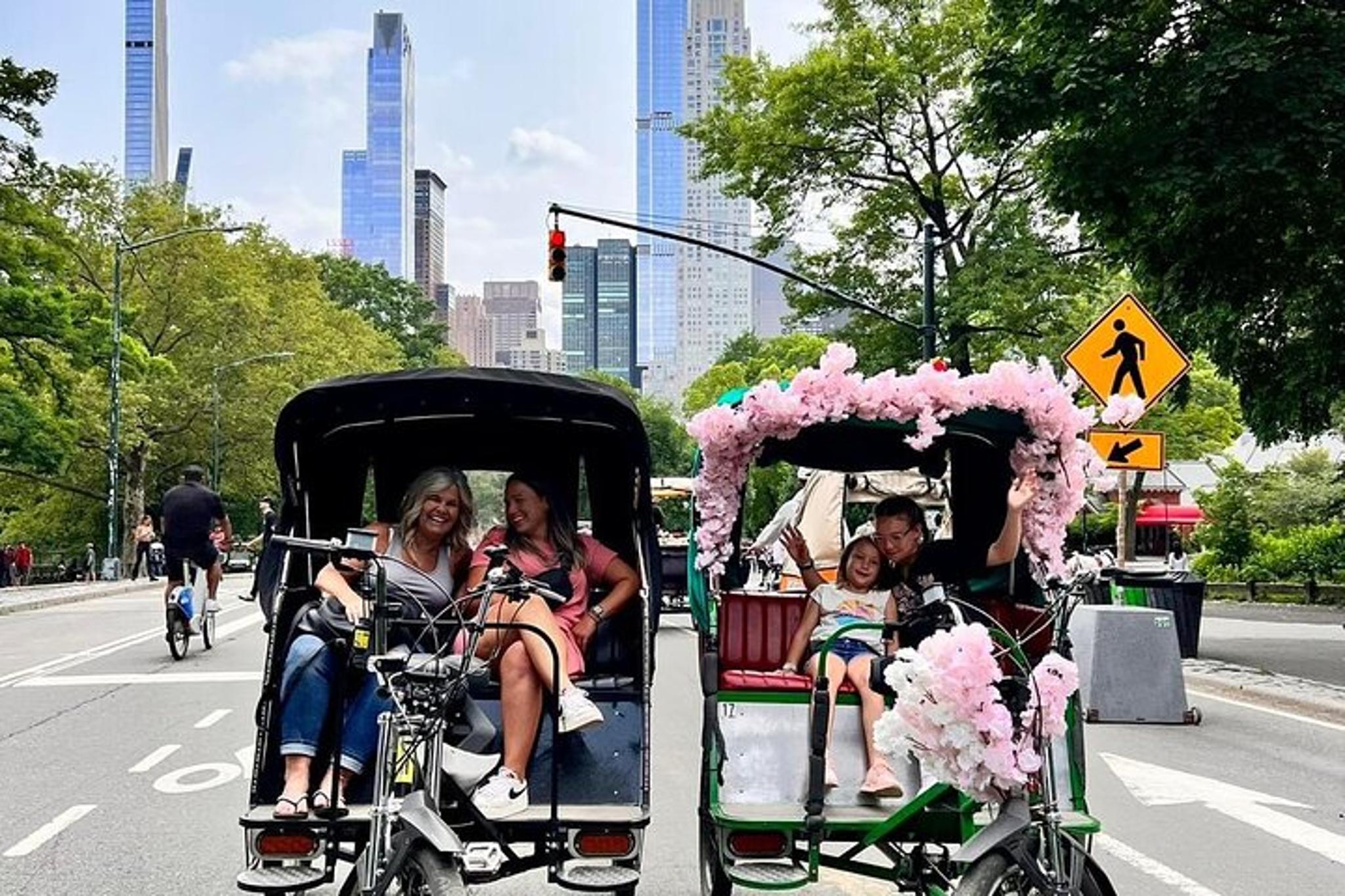 New York Central Park Pedicab Tour - Image 3