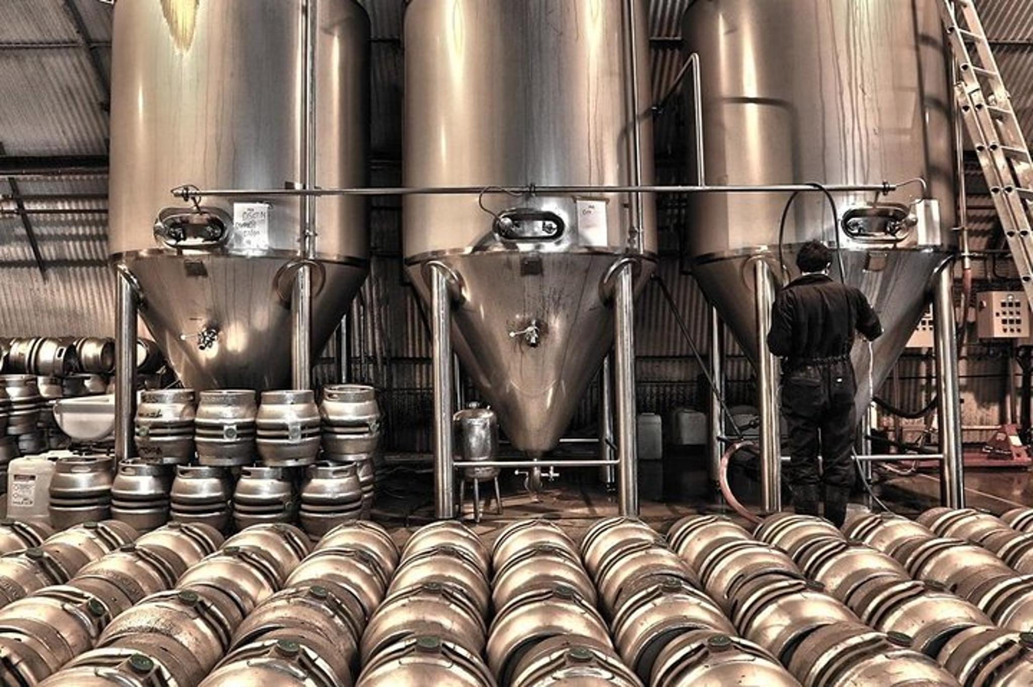 Las Vegas Brewery Tour by Party Bus - Image 6