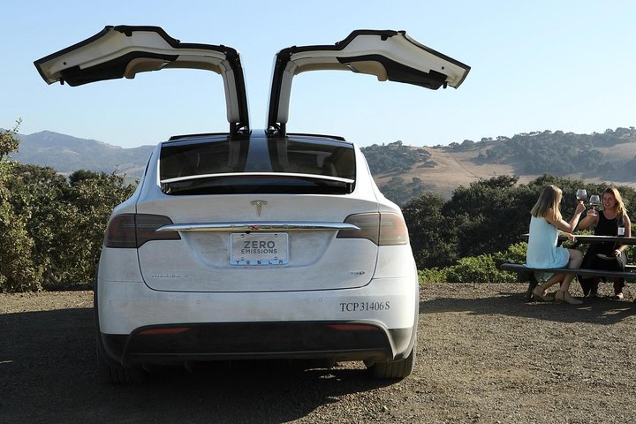 Santa Barbara Winery and Estate Tour in Tesla SUV