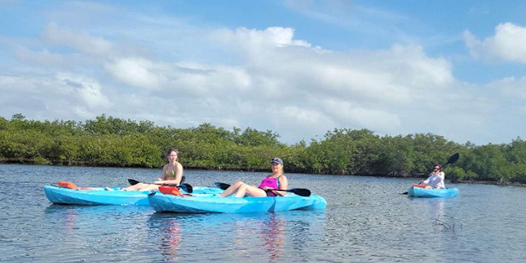 Marco Island Standup Paddleboard or Kayak Tour - Image 4