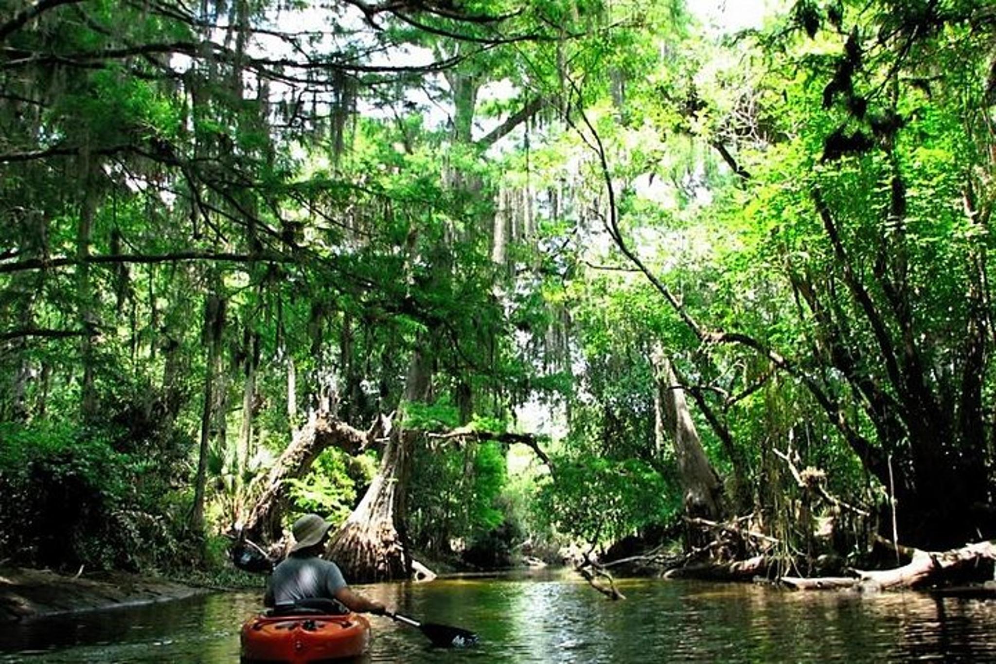 Loxahatchee River Guided Kayak Tour - Image 2