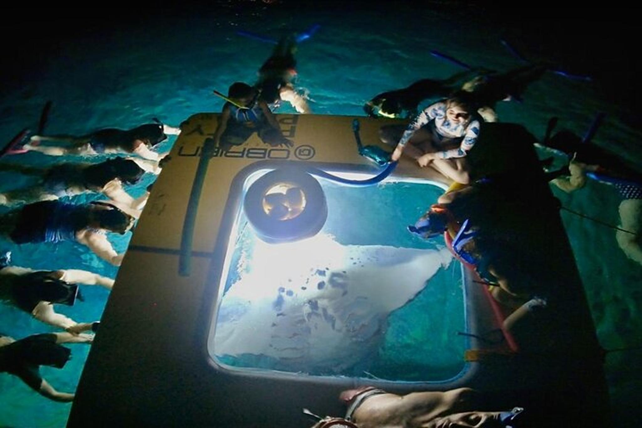 Hawaii Manta Ray Snorkel Experience 2 hr - Image 2