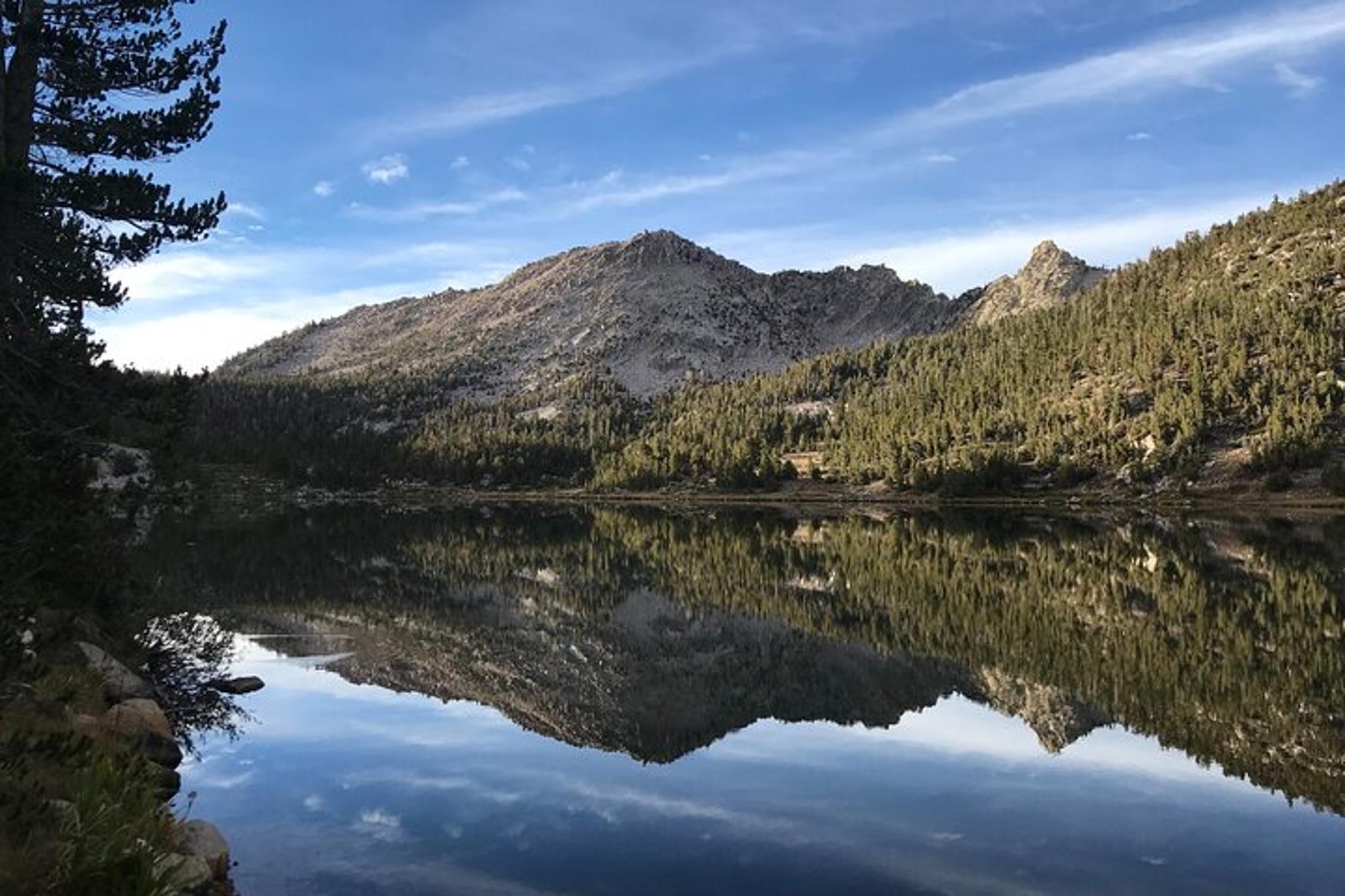 Sequoia Private Tour & Hike - Image 2