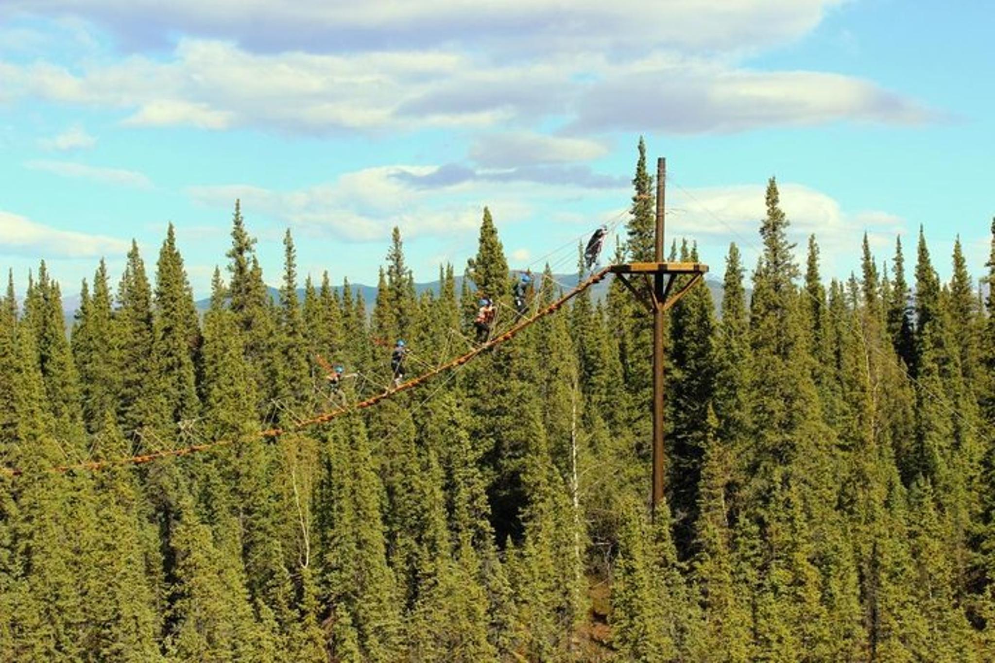 Denali Zipline Adventure - Image 3
