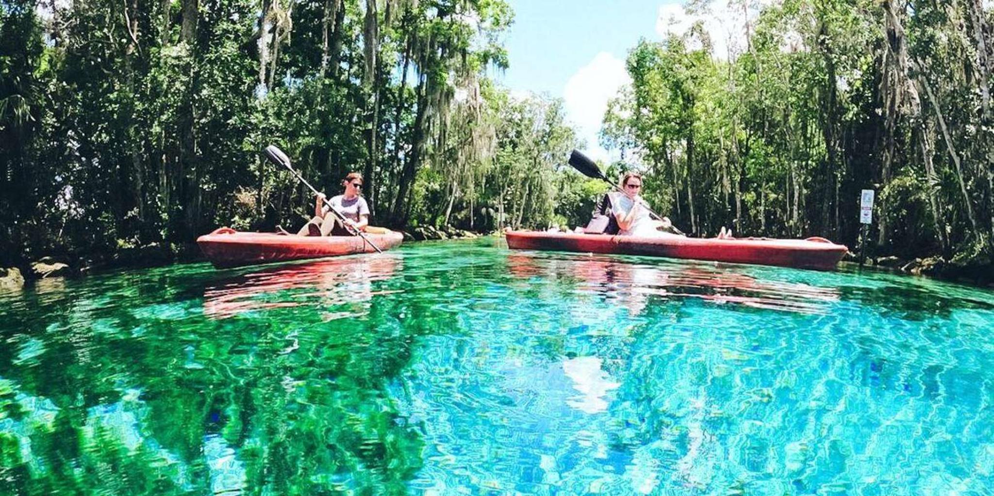 Crystal River Kayak Rental - Image 4