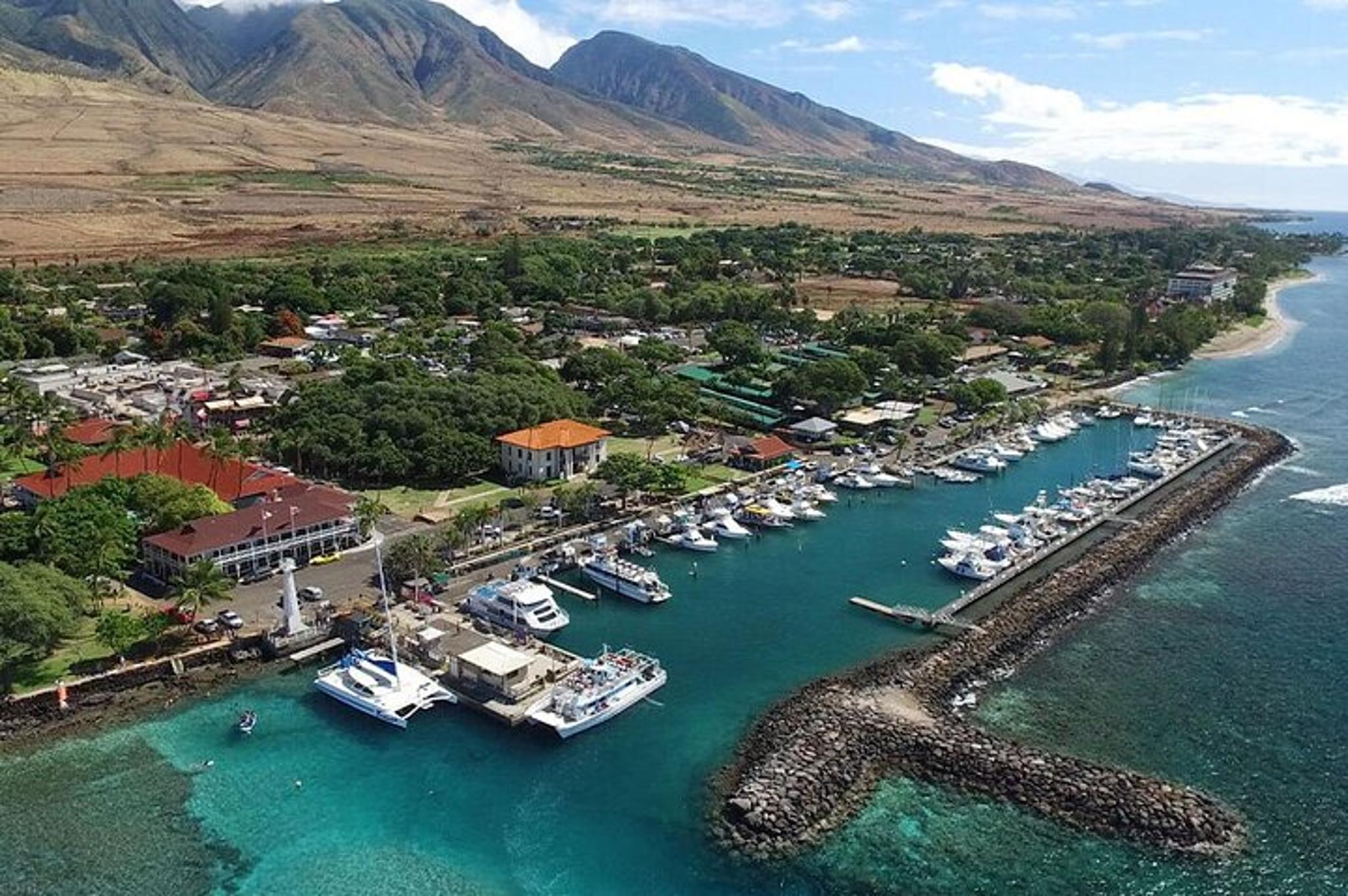 Maui Private Airport Transfer - Image 4