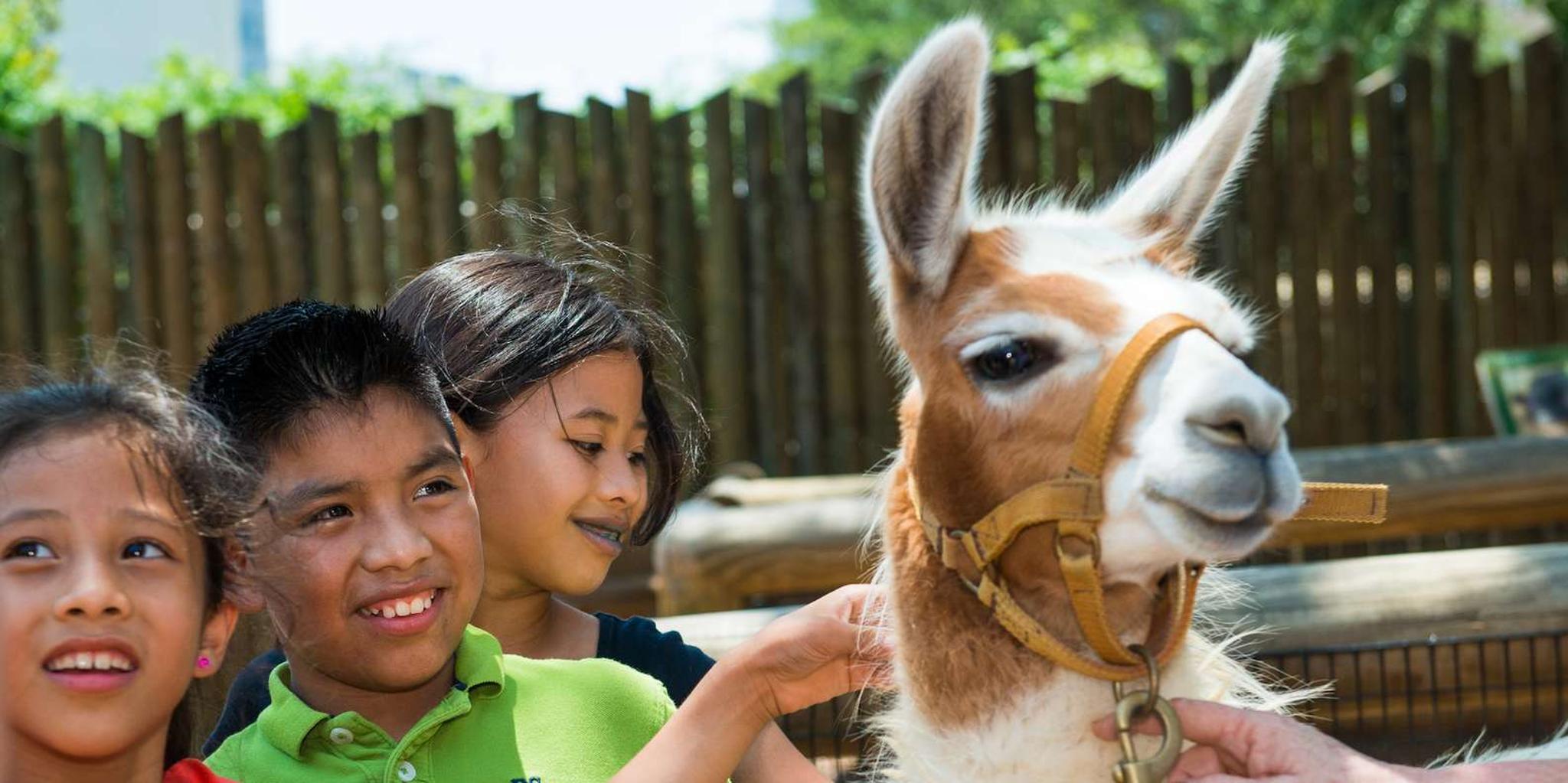 Houston CityPASS Attractions Tour - Image 4