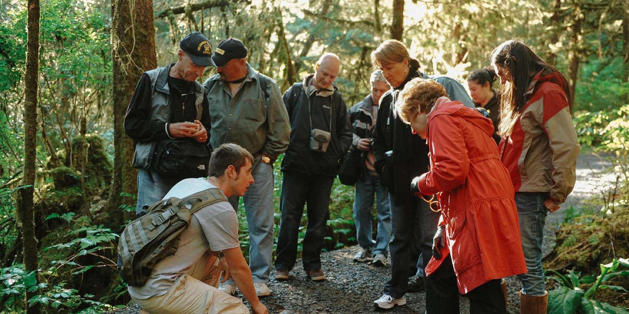 Ketchikan Rainforest Sanctuary and Totem Park Walk - Image 2