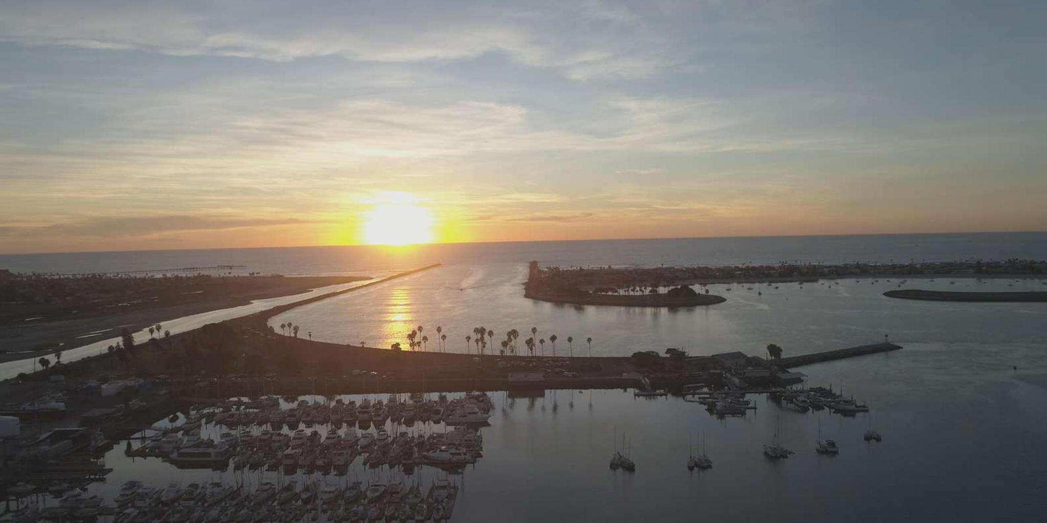 San Diego Whale Watching Cruise 3 hr - Image 5