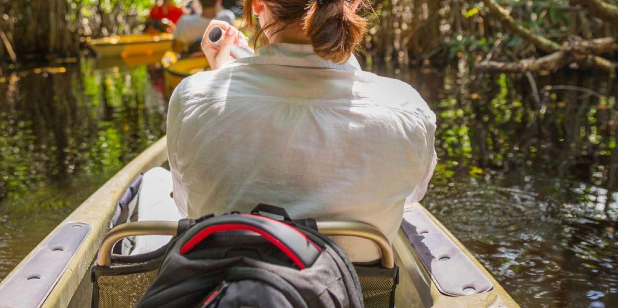 Siesta Key Kayak Tour to Midnight Pass - Image 4