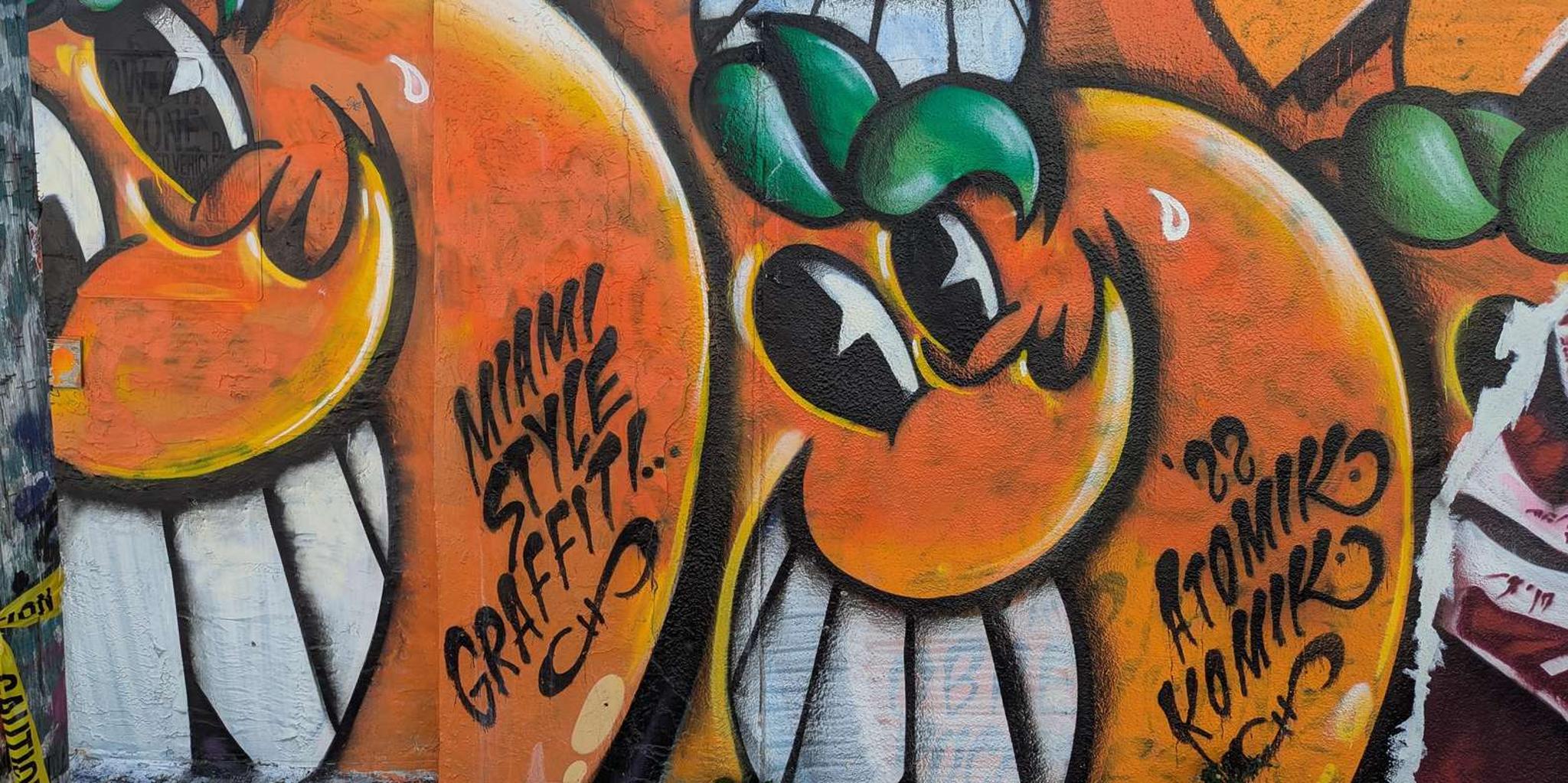 Miami Street Art Tour in Wynwood (2 hr)