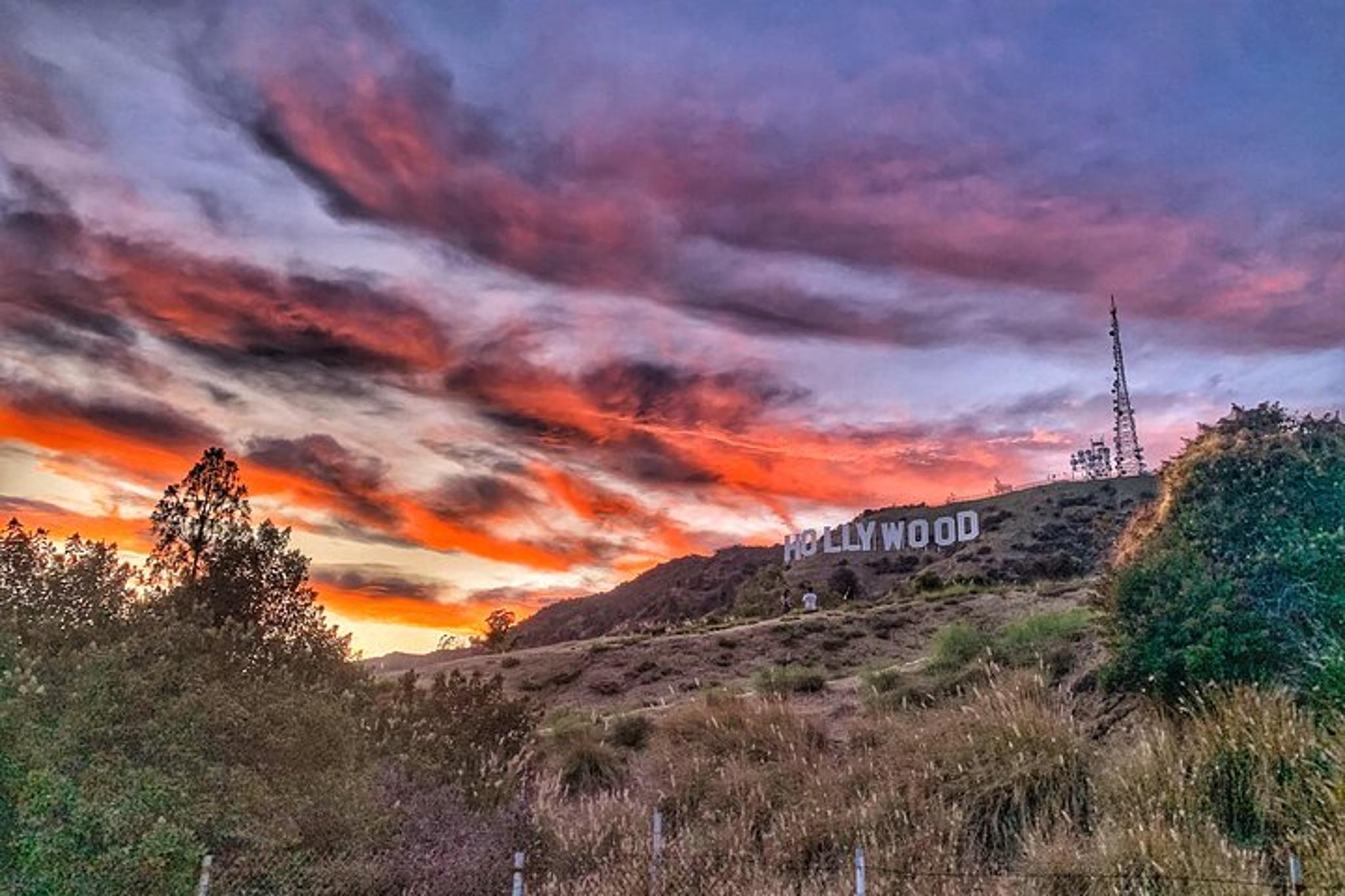 Hollywood Sign Express Tour with Comedians and Dogs - Image 6