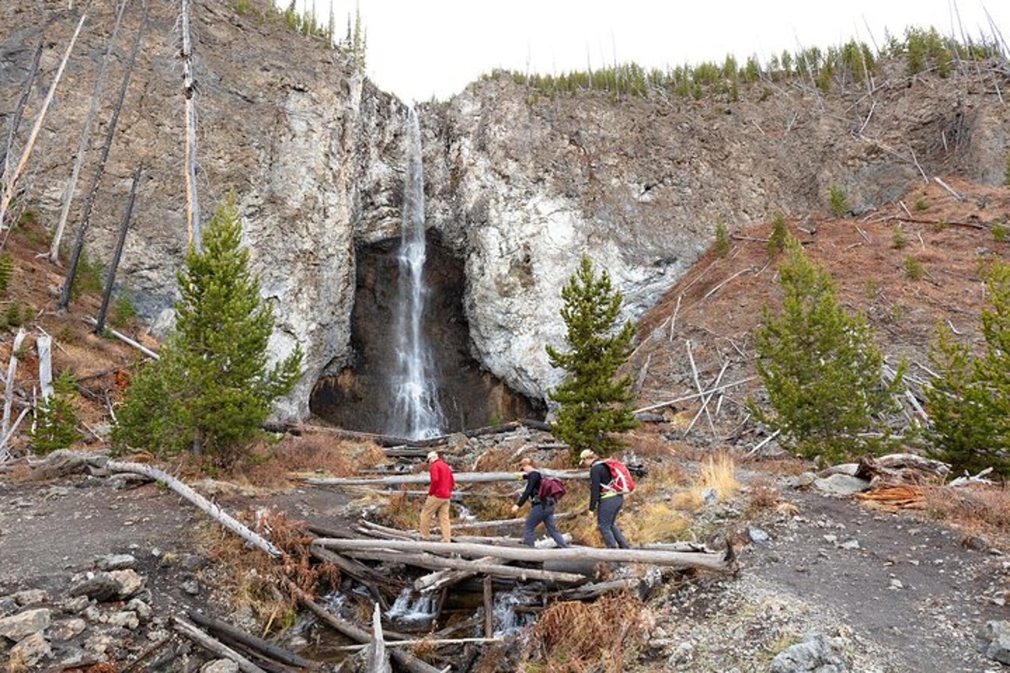 Yellowstone Fairy Falls to Imperial Geyser Hike - Image 4