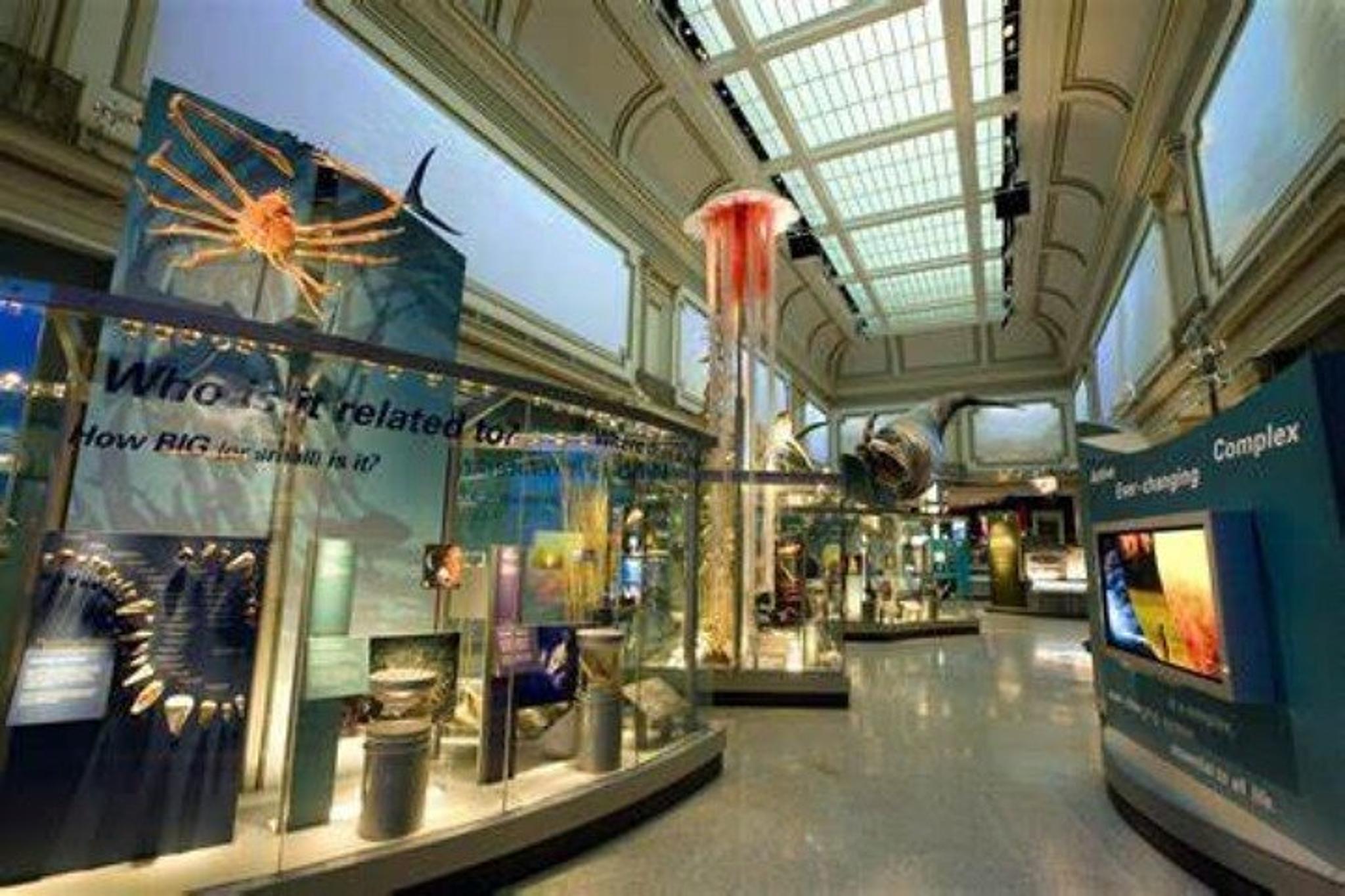 Washington D.C. American and Natural History Tour - Image 2