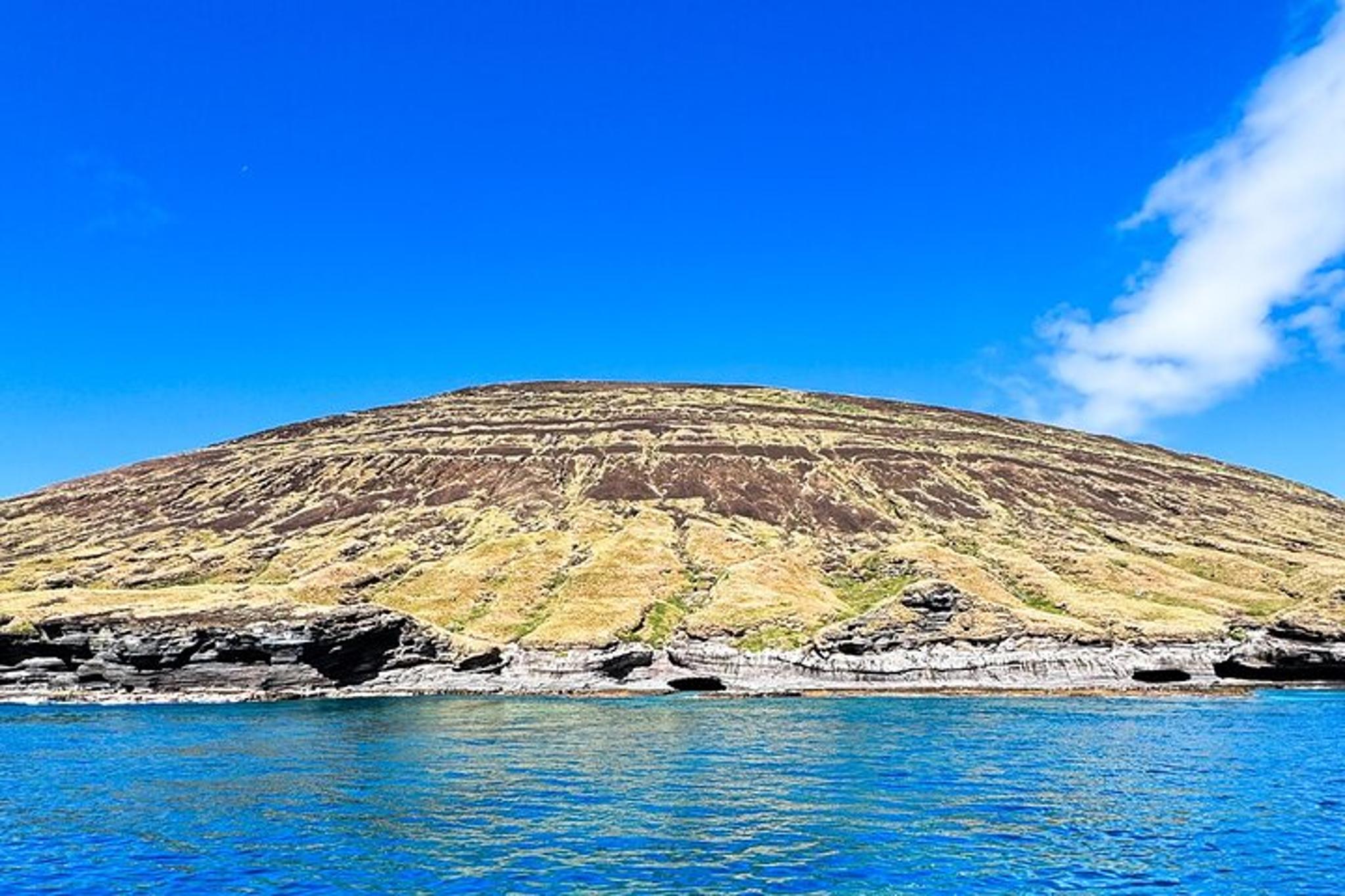 Ni'ihau Scenic Snorkel Tour - Image 6