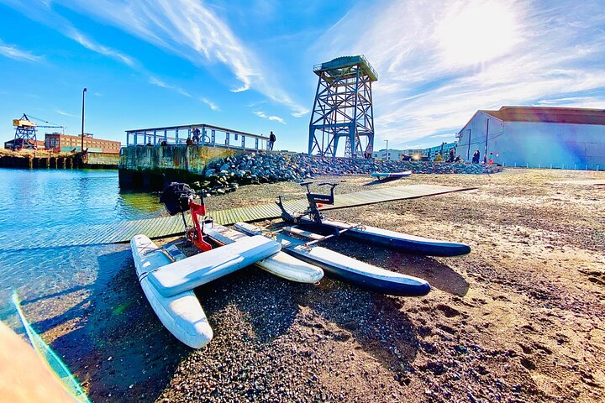 San Francisco Bay Waterbike Experience - Image 4
