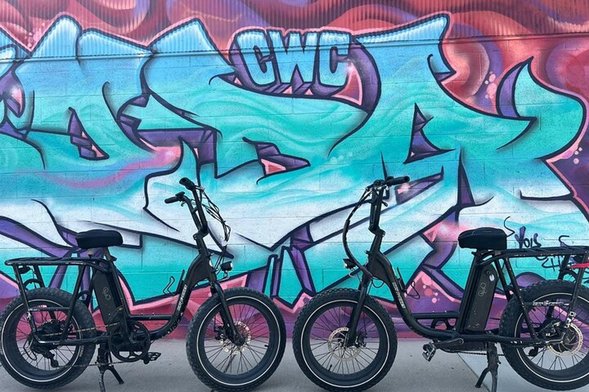 Asheville Electric Bike Rentals - Image 3