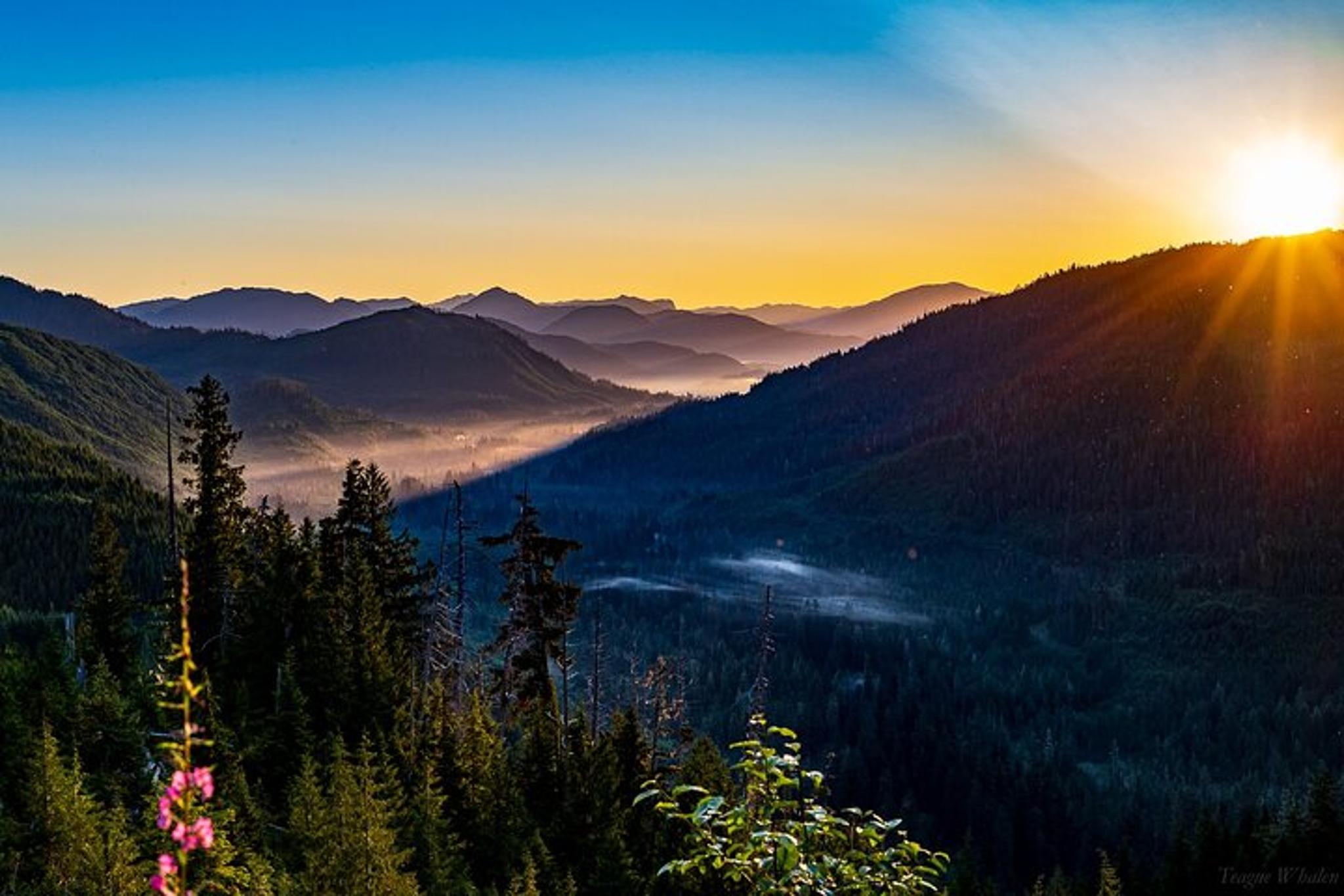 Ketchikan Backcountry Driving Tour in the Tongass