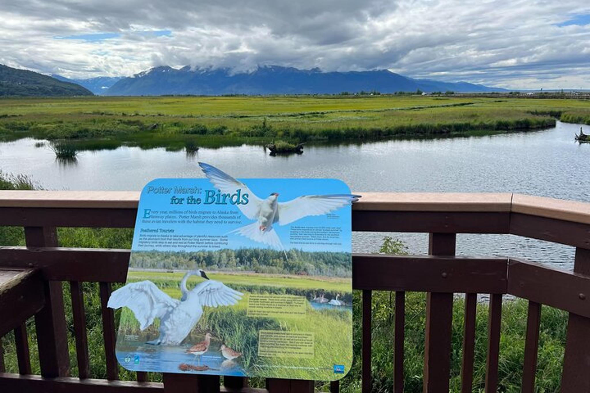 Whittier to Anchorage Land Transfer Tour - Image 5