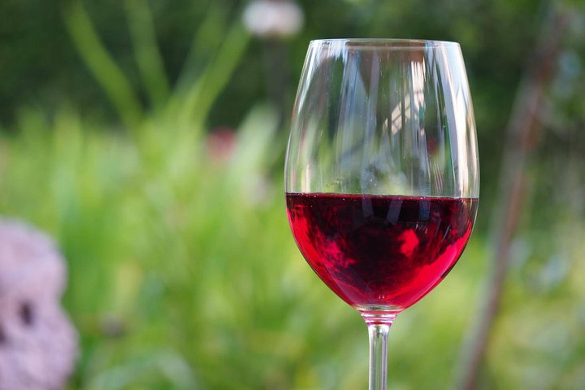 Napa Valley Wine Tasting Tour - Image 3