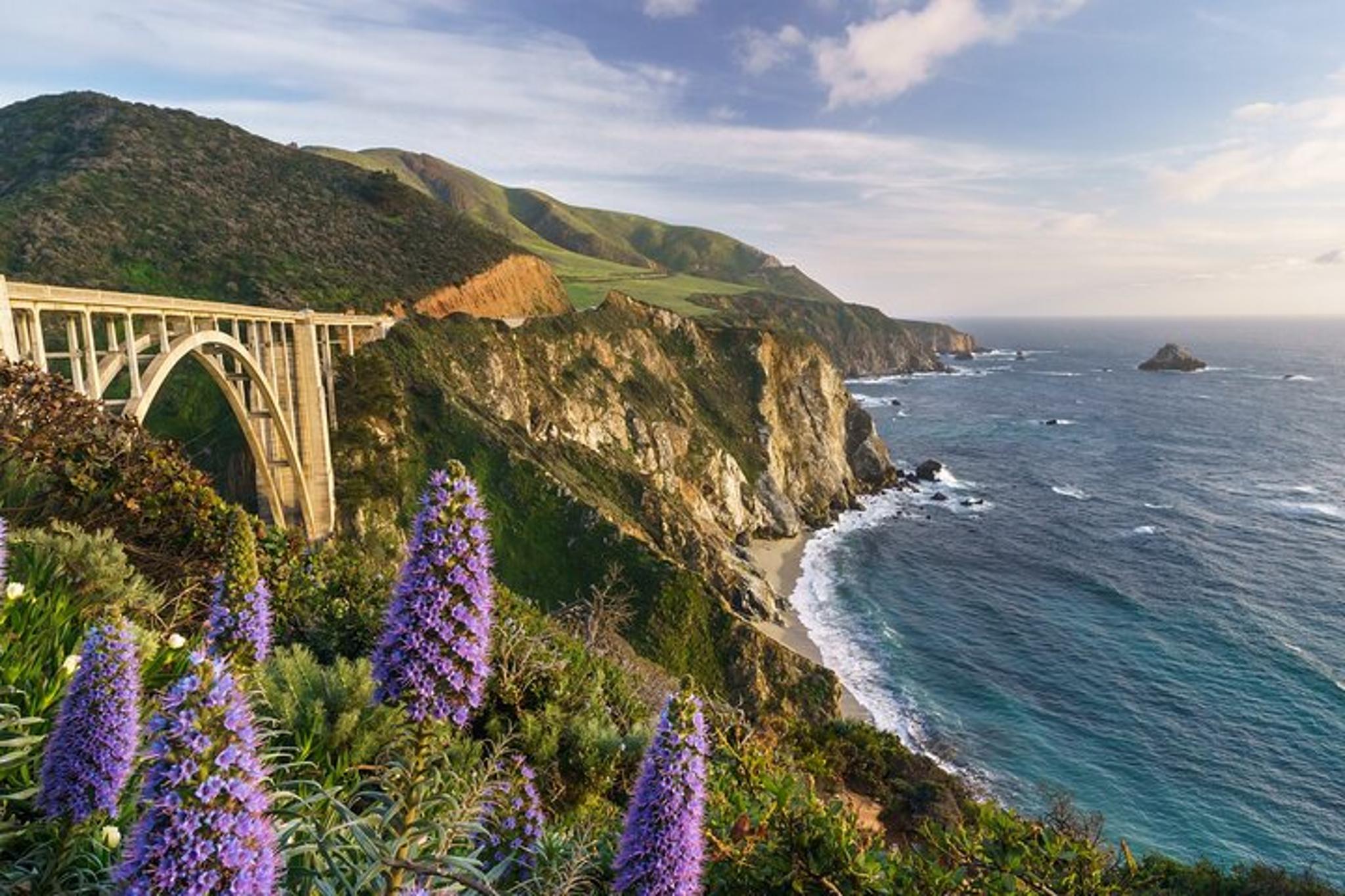 Big Sur Private Driving Tour